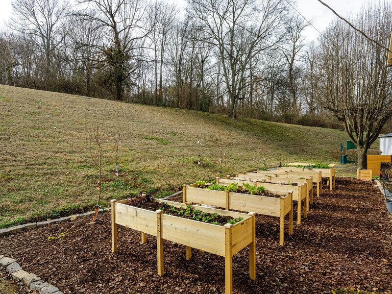 Garden beds with plants at Glastonbury Woods Apartments  in a mulched area, with a grassy hillside.
