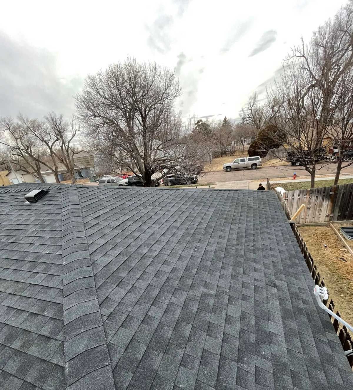Dark asphalt shingle roof with bare trees and overcast sky in a neighborhood.