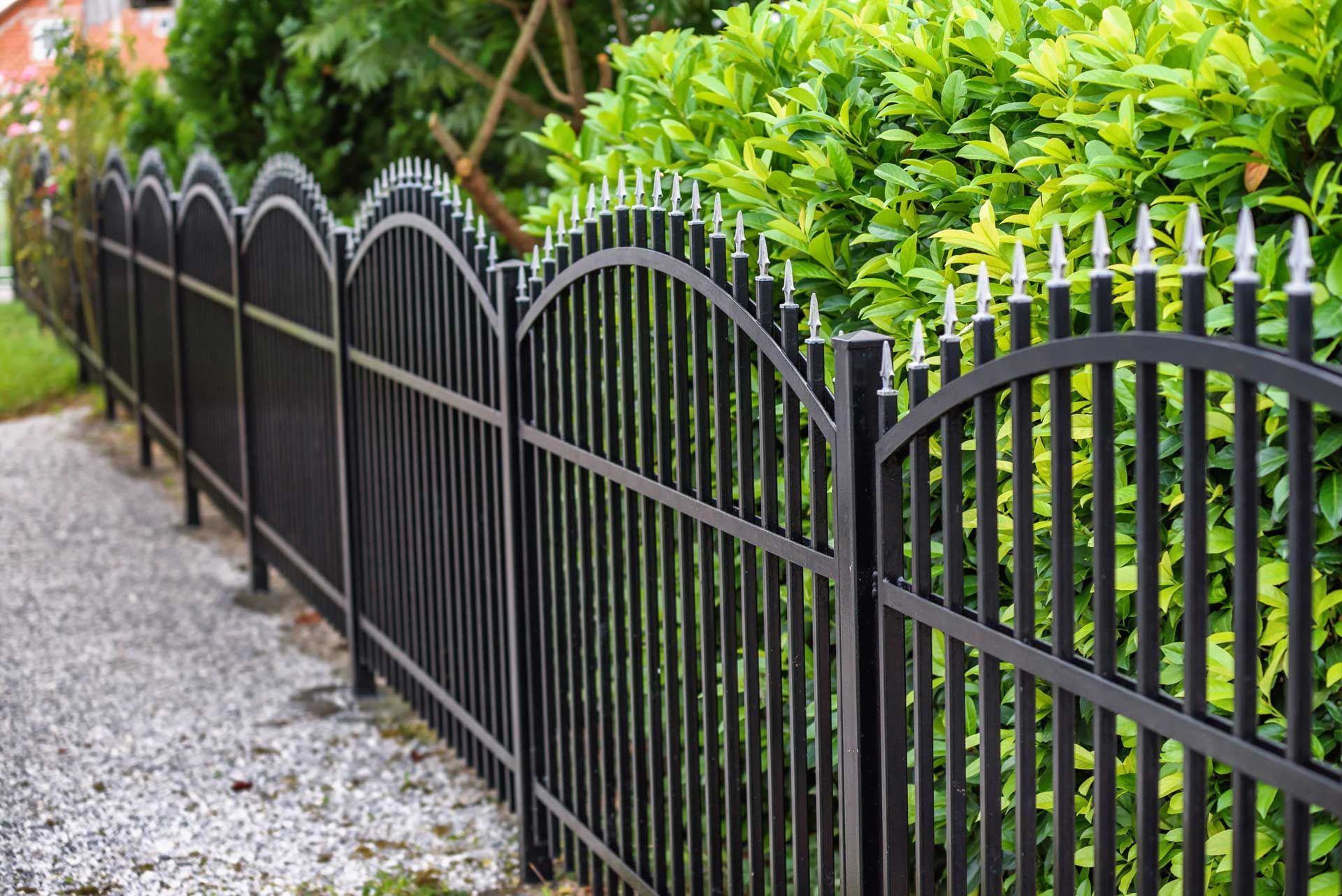 Black wrought iron fence with arched tops, spiked finials, and green foliage in background.