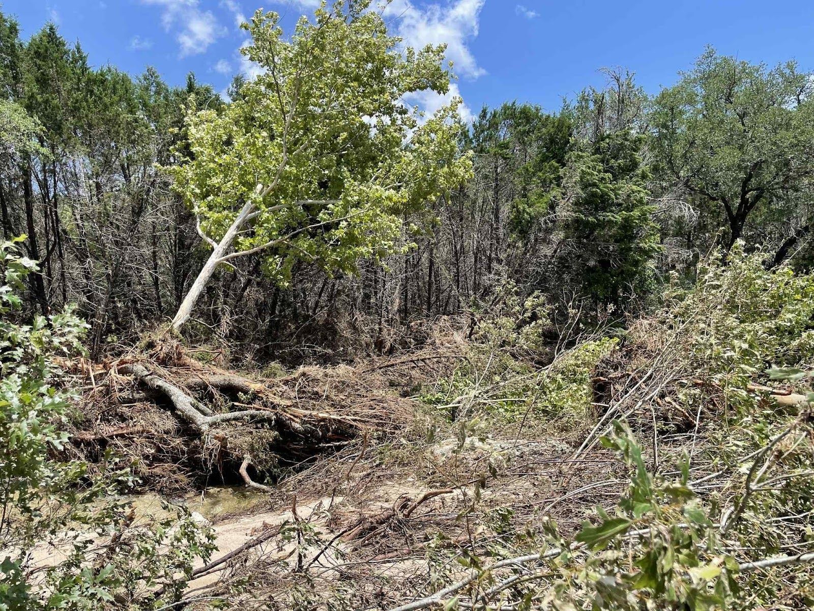 Damage at Doeskin Ranch