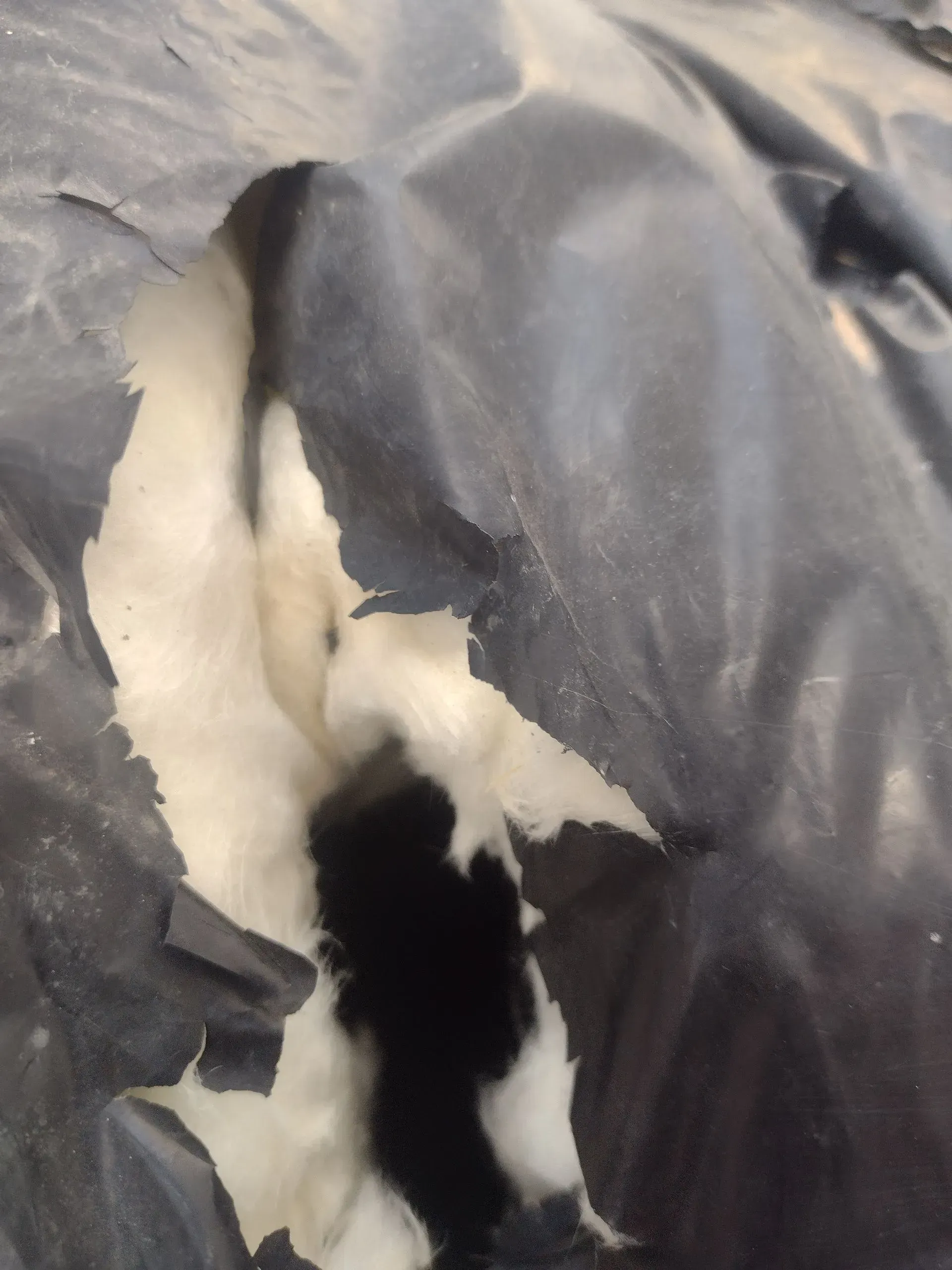 a piece of broken insulation is laying in a black bag