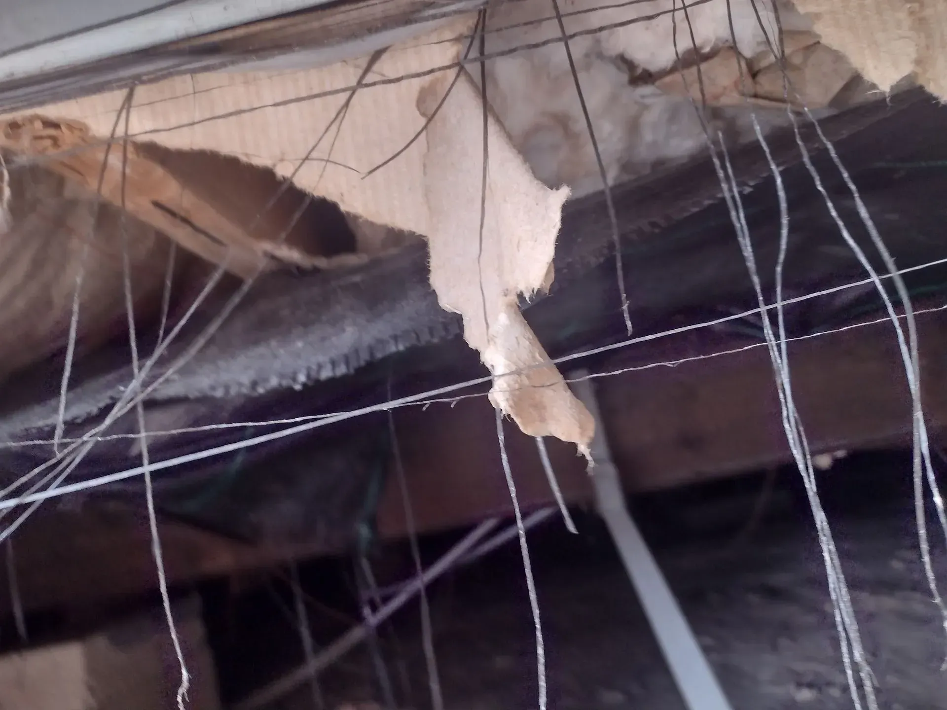 a bunch of wires are hanging from the ceiling