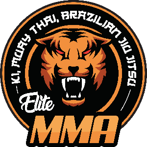 Elite MMA Logo | Mixed Martial Arts, Avonmouth, Bristol
