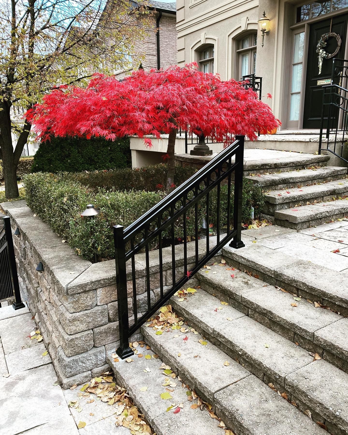 A tree with red leaves is in front of a house with stairs.