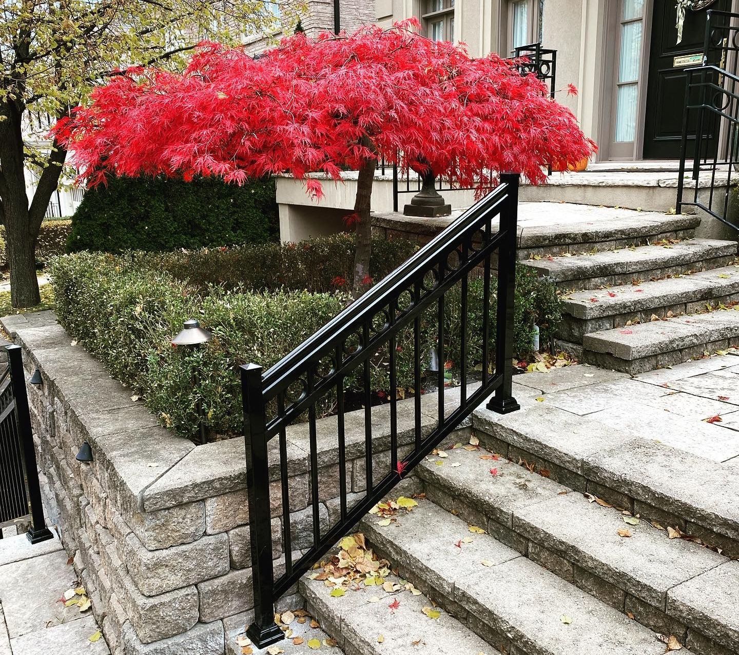 A tree with red leaves is in front of a set of stairs.
