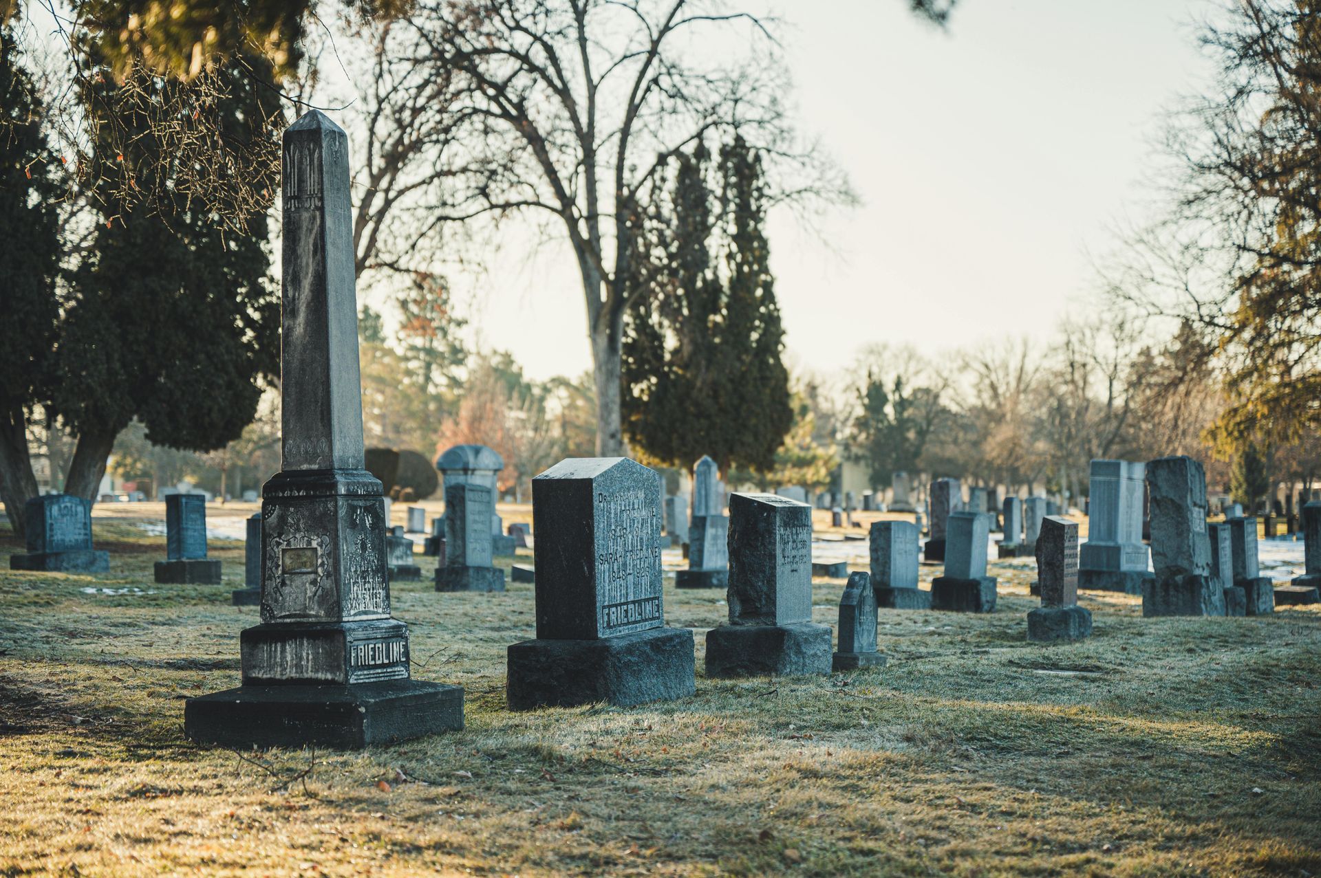Cemetery with weathered tombstones and monuments on a grassy field, trees in the background, daytime.