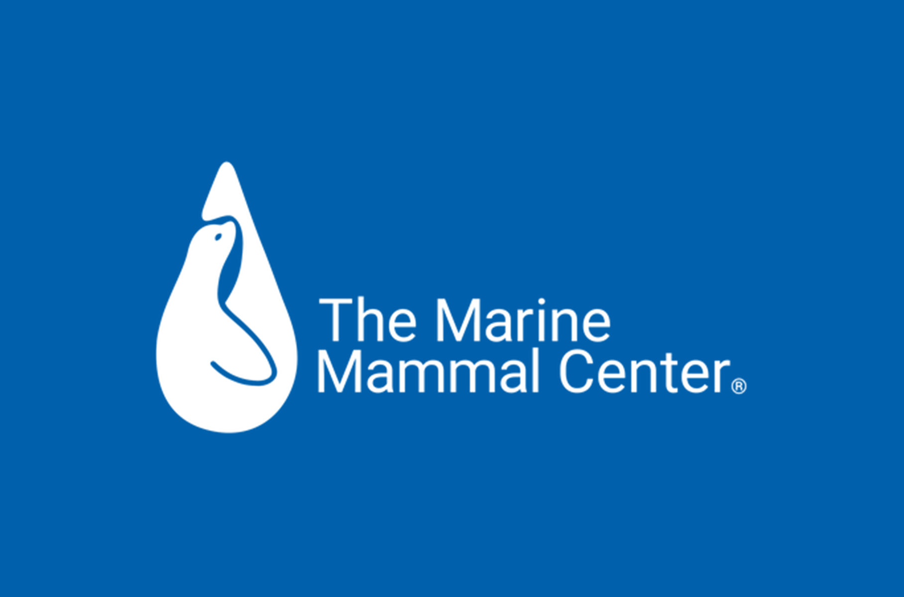 The marine mammal center logo on a blue background