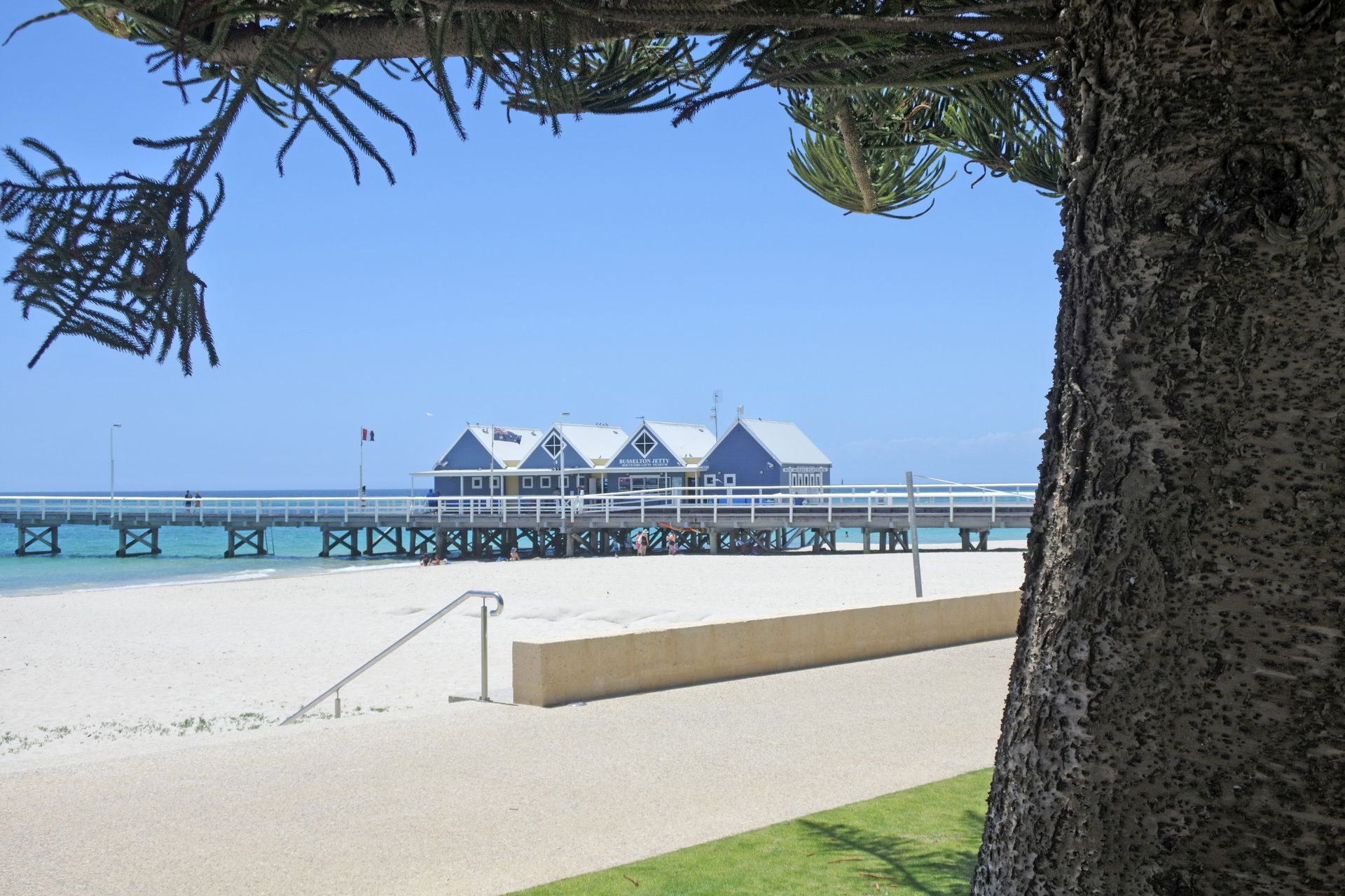 A blue pier with buildings extends into the ocean, seen from a white sandy beach with a tree in the foreground.
