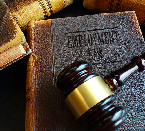 Employment Law Book — Metairie, LA — Clement Donelon, Attorney At Law