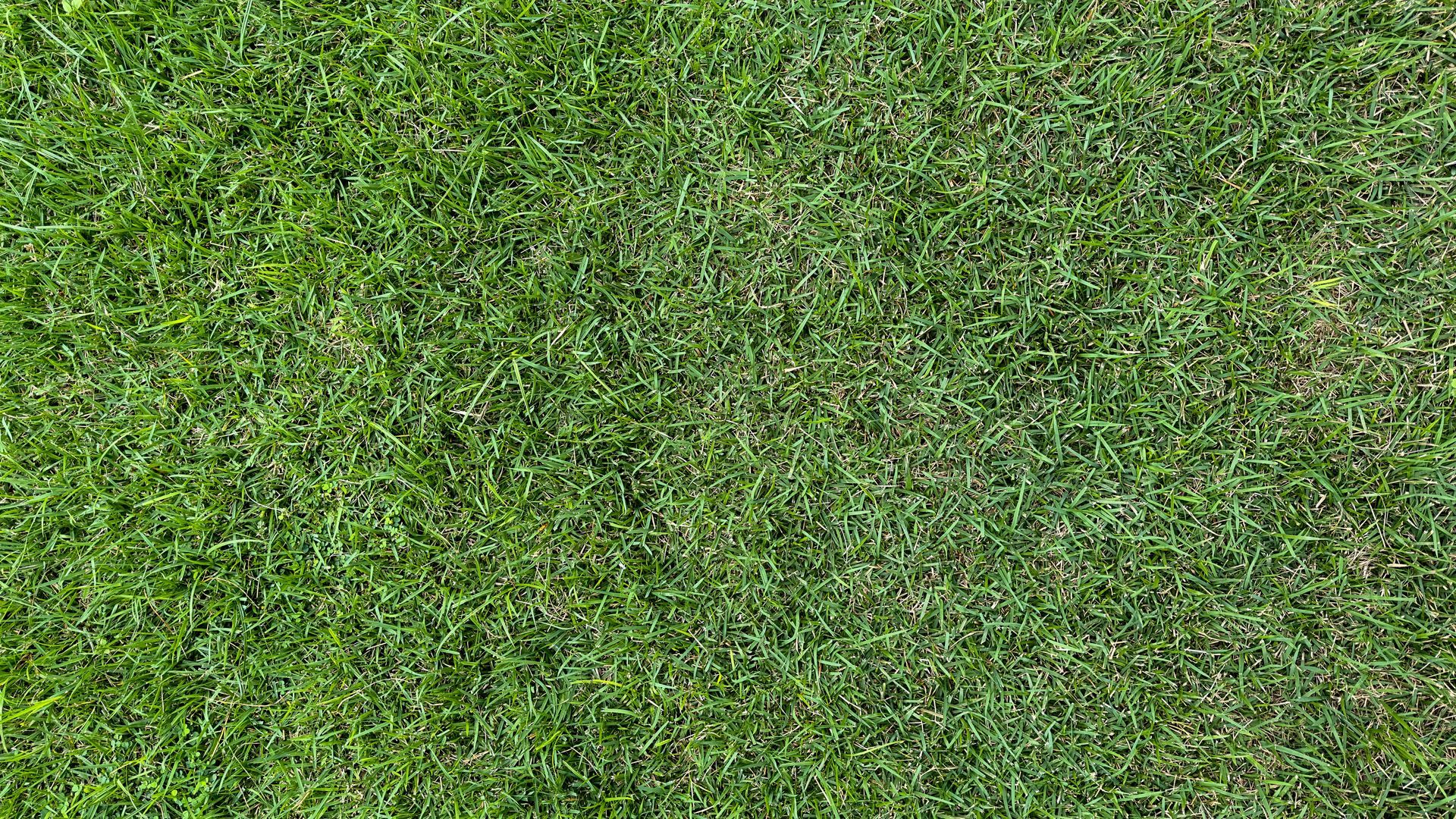 A man is standing on a ladder working on a fence.