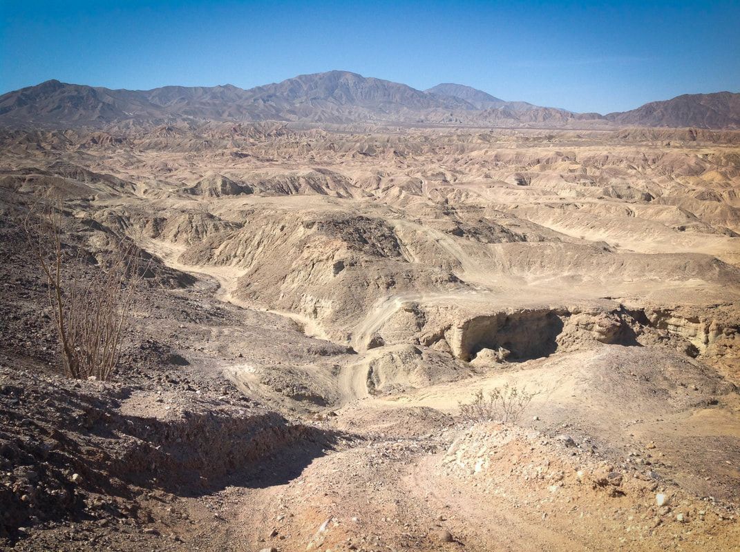 A desert landscape with mountains in the background
