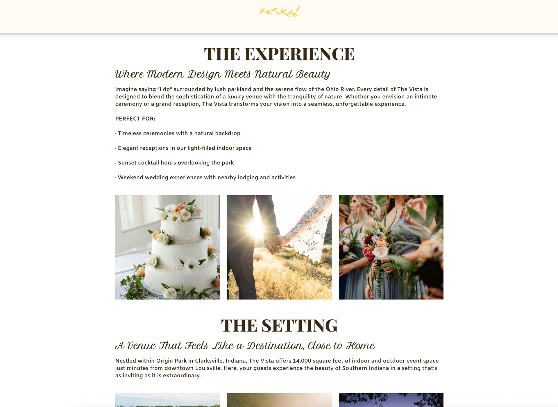 Website section about wedding experience, featuring cake and couple photos.