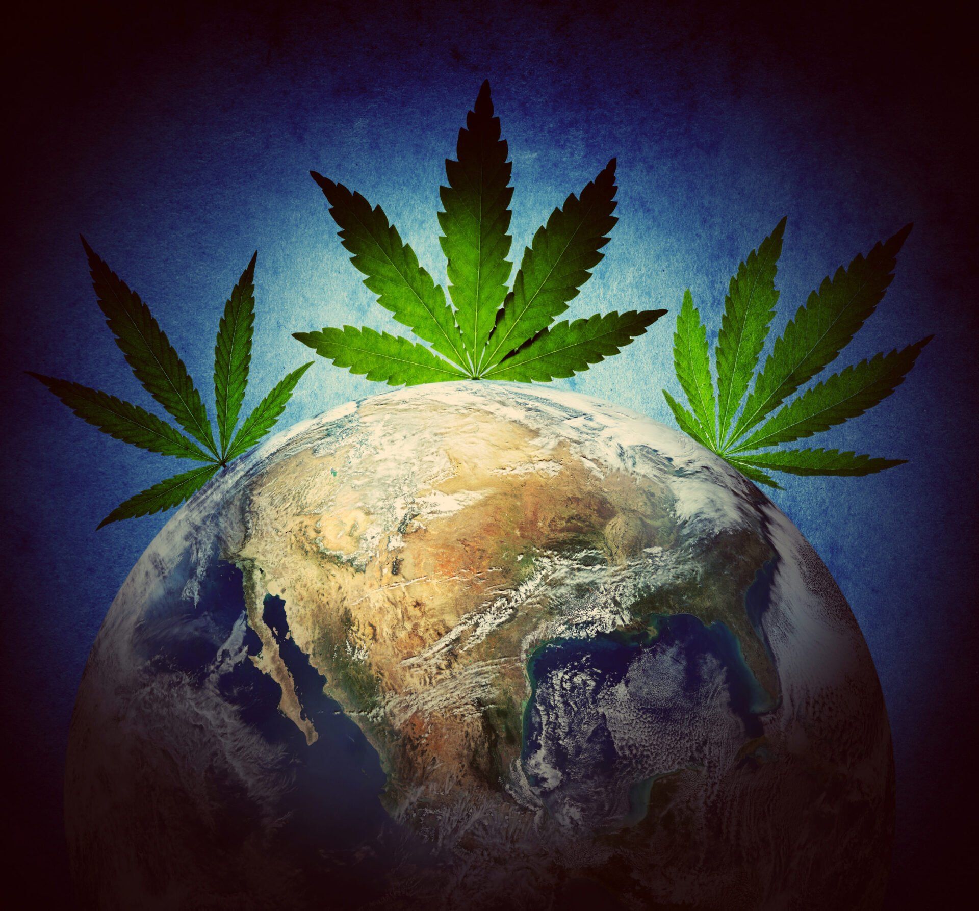 Klonetics Plant Sciences #17