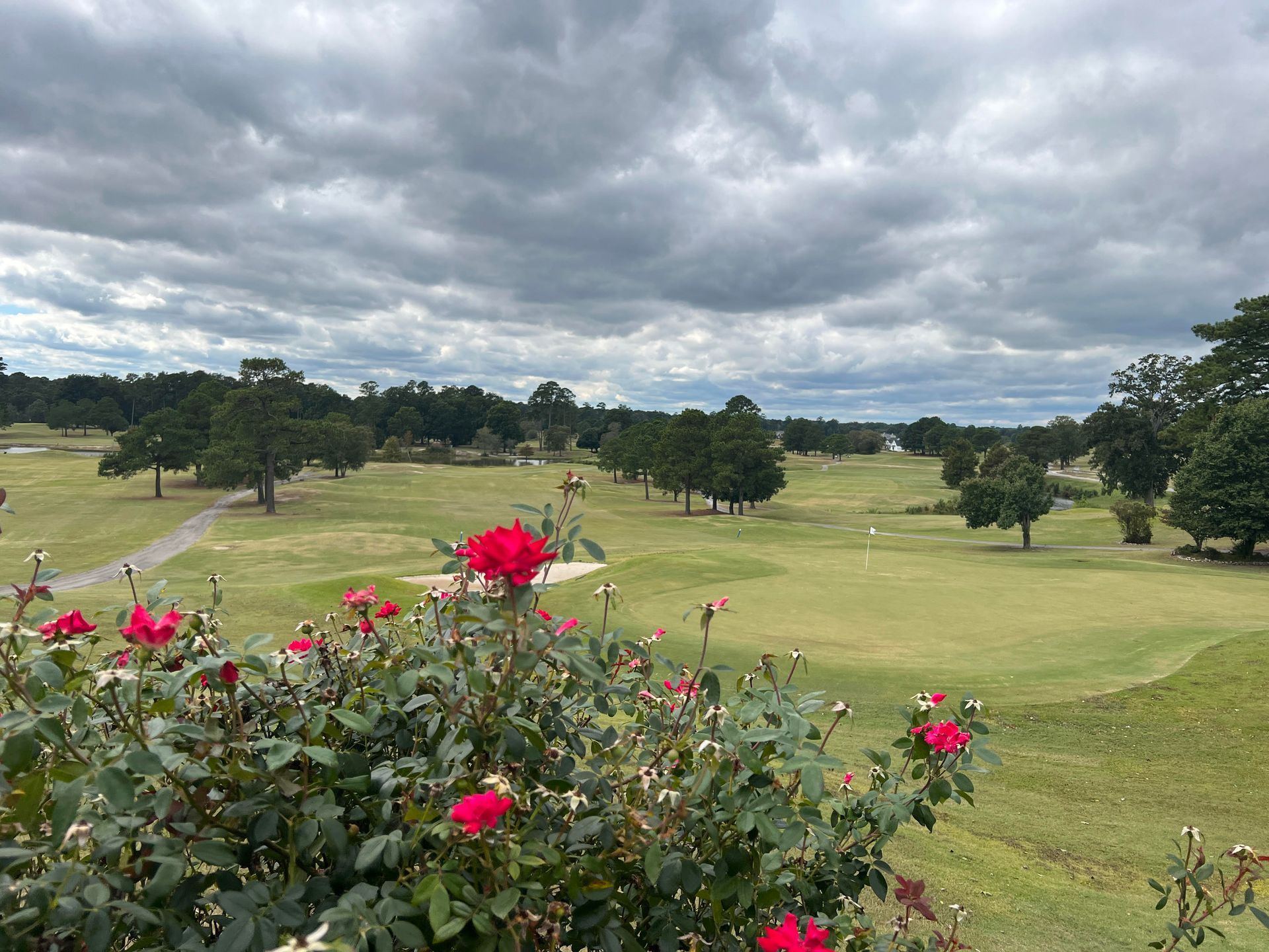 Golf Course | Goldsboro, NC | Lane Tree Golf Club And Conference Center