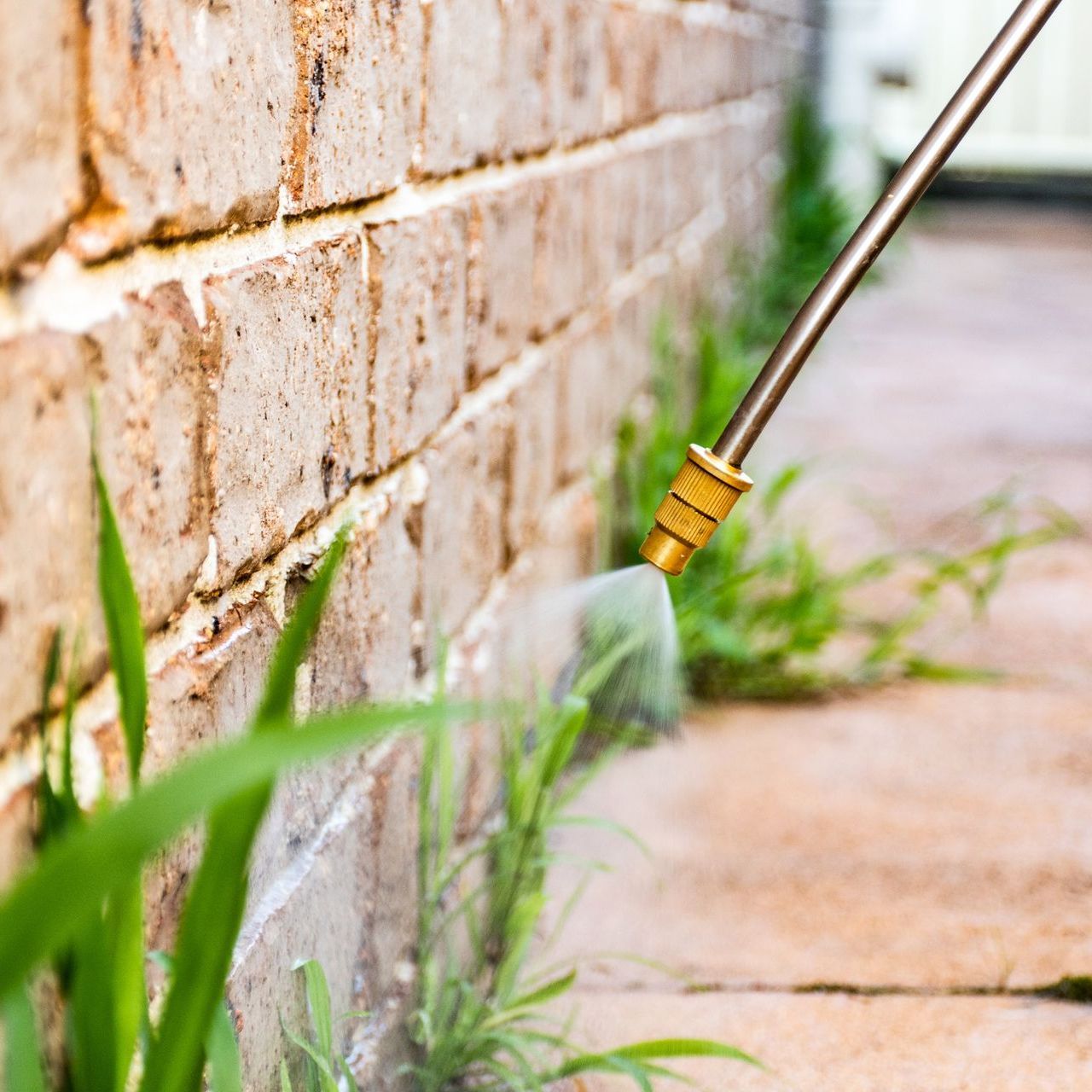 a man wearing a gas mask is spraying a fence with a sprayer .