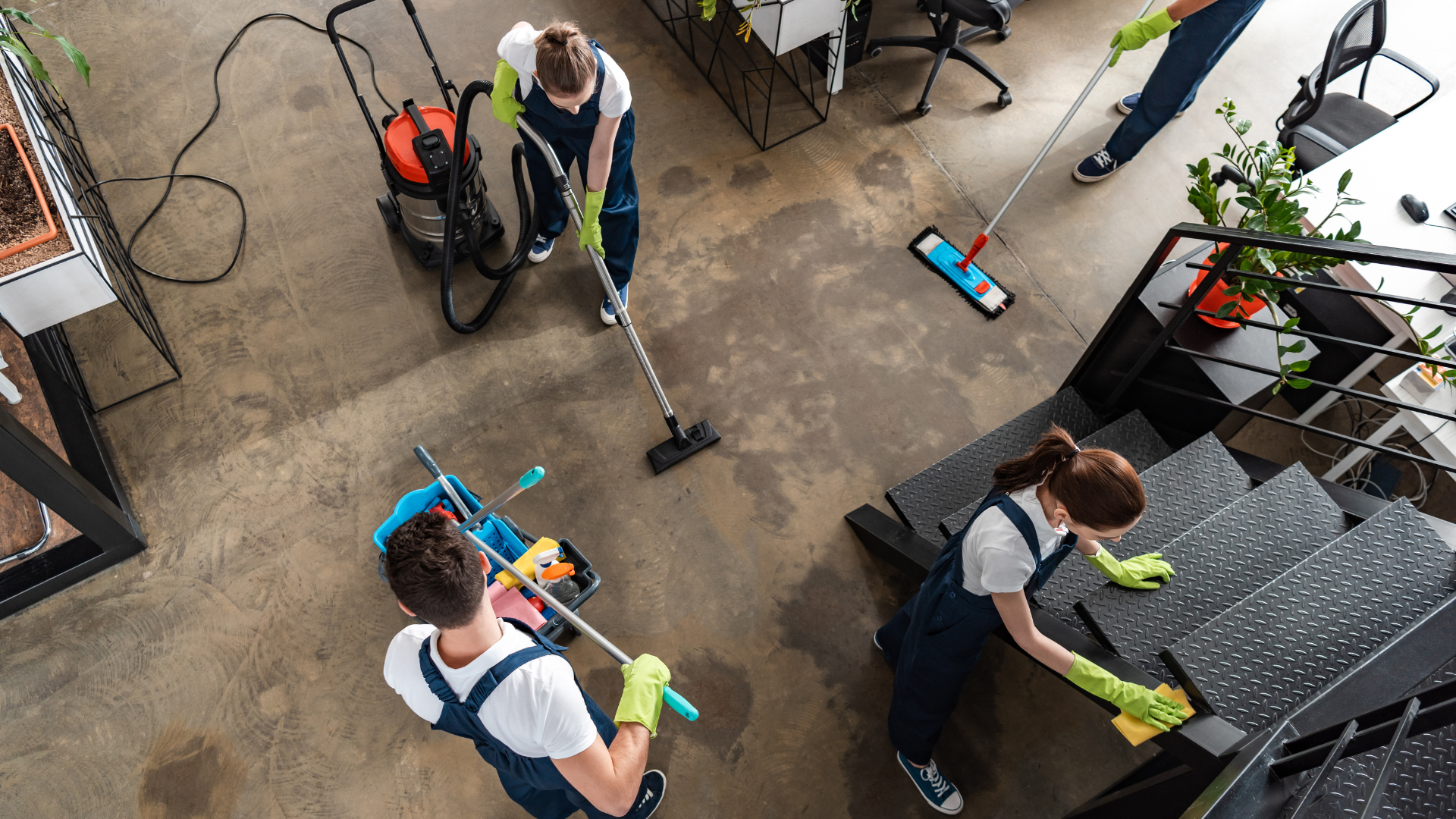 A group of people are cleaning a kitchen.