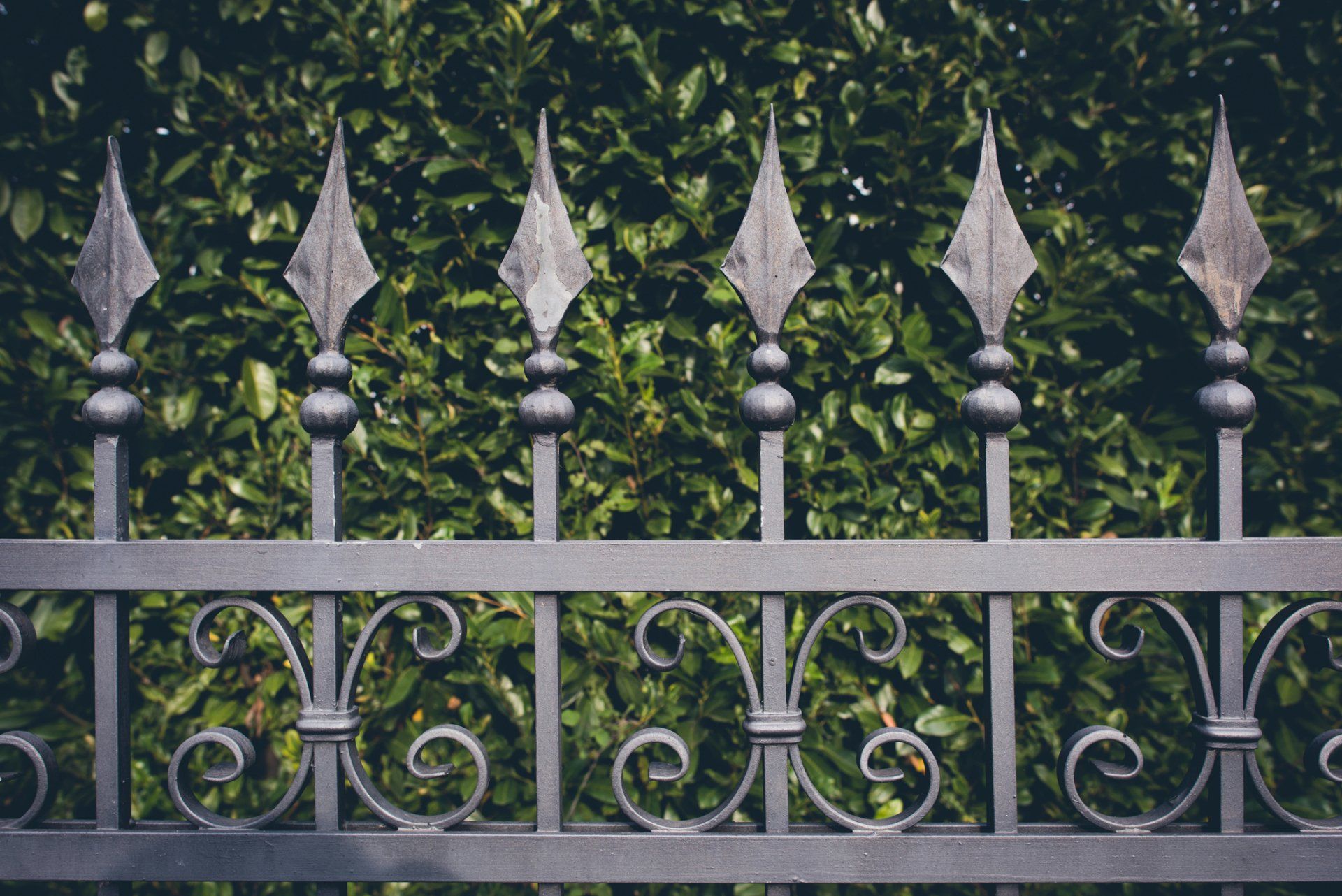 Iron fence on sale