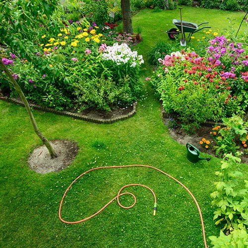 Flower Maintenance — Beautiful Garden in Colorado Springs, CO