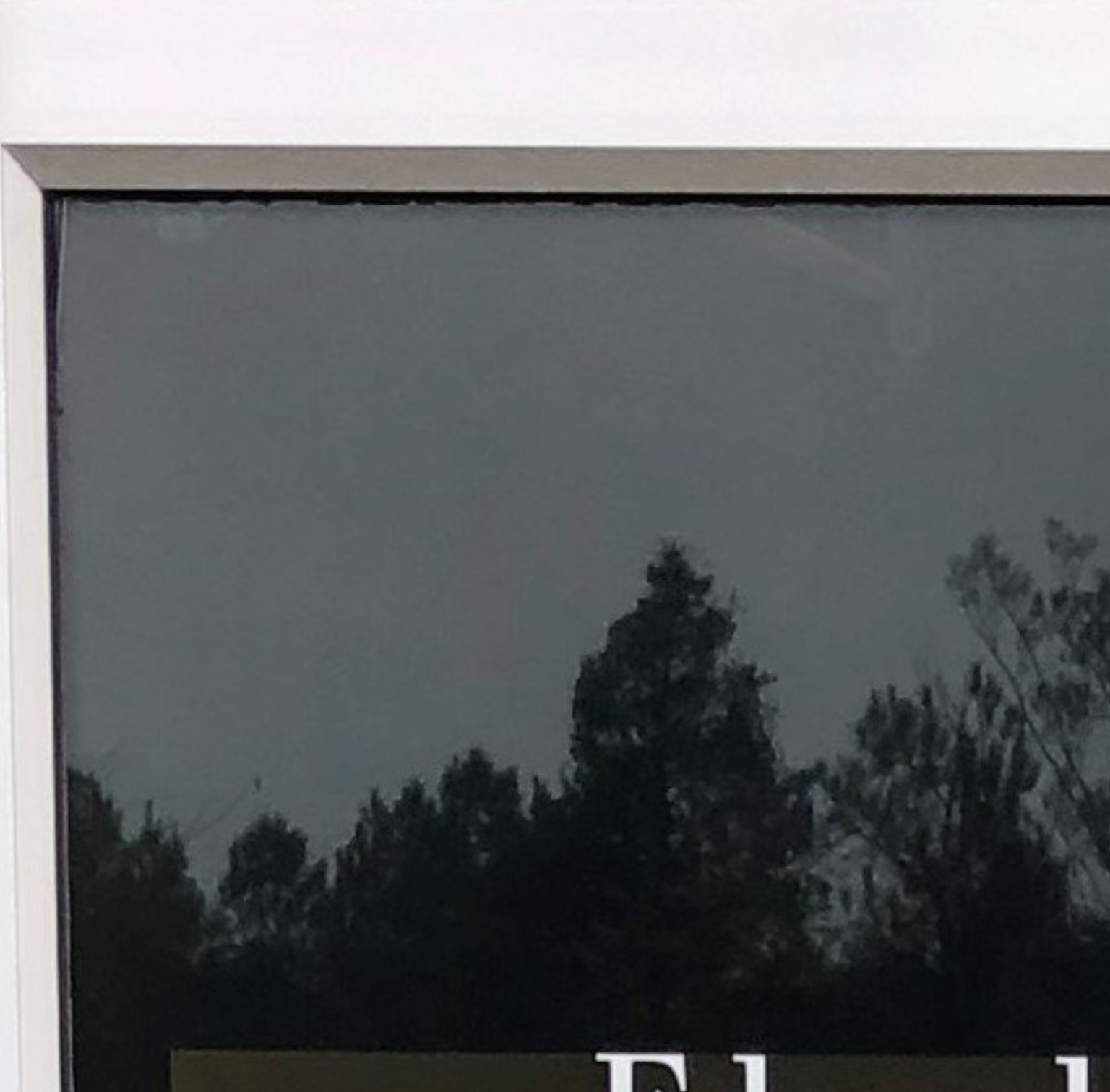 Professional tint Replacement - Peeling and failing generic tint on office door before replacement in Montgomery, AL