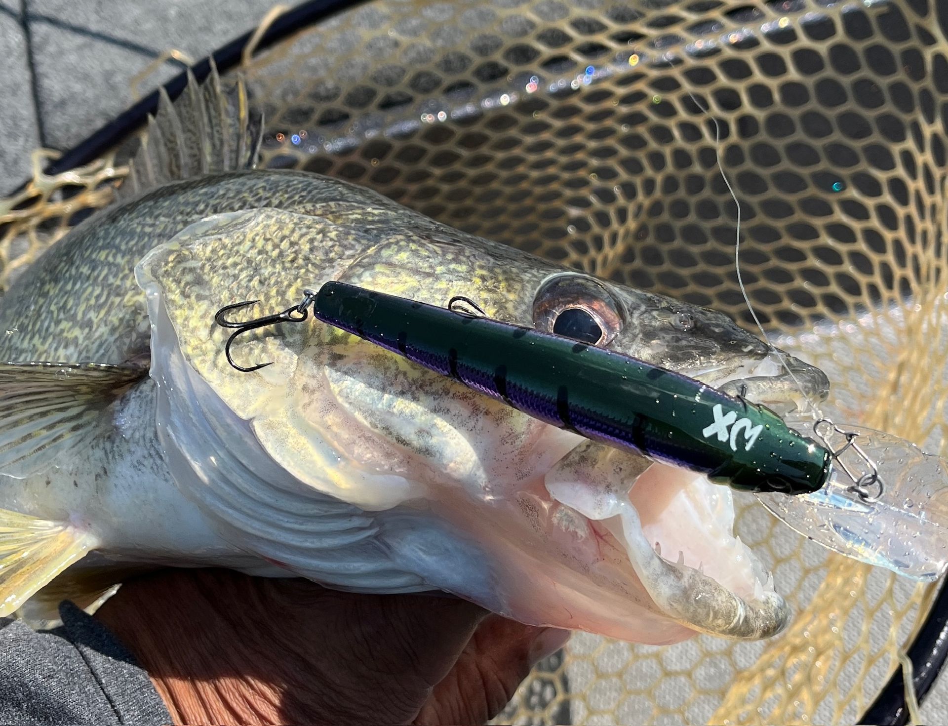 crankbaits on Lake Erie for walleye