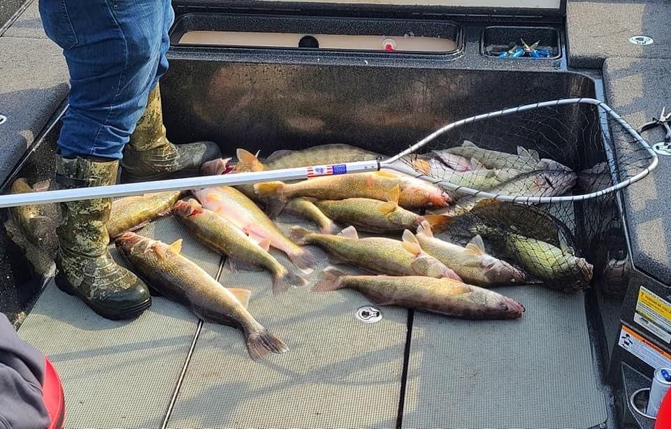 Walleyes on Lake Erie Guide
