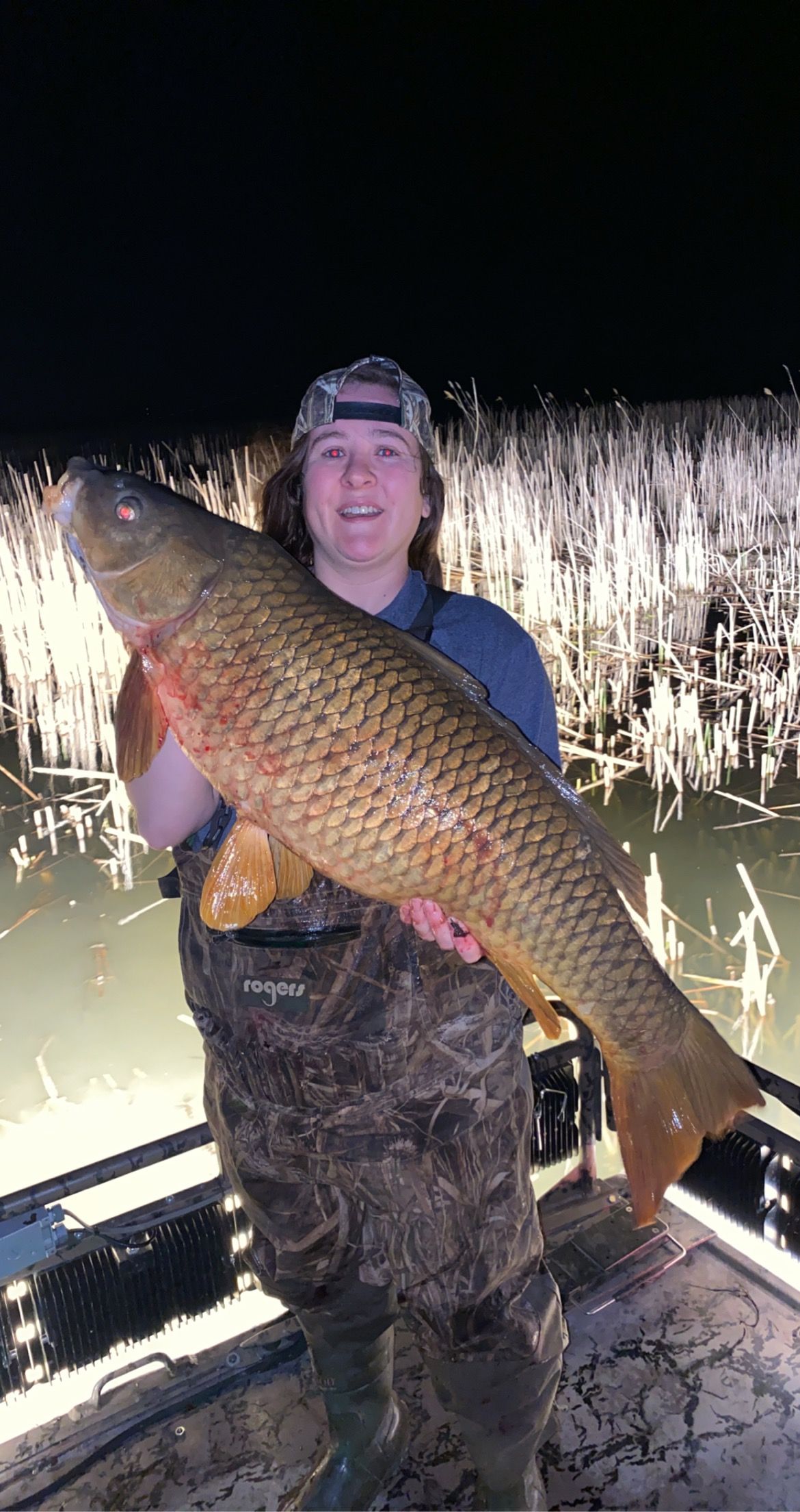 big carp shot with arrow