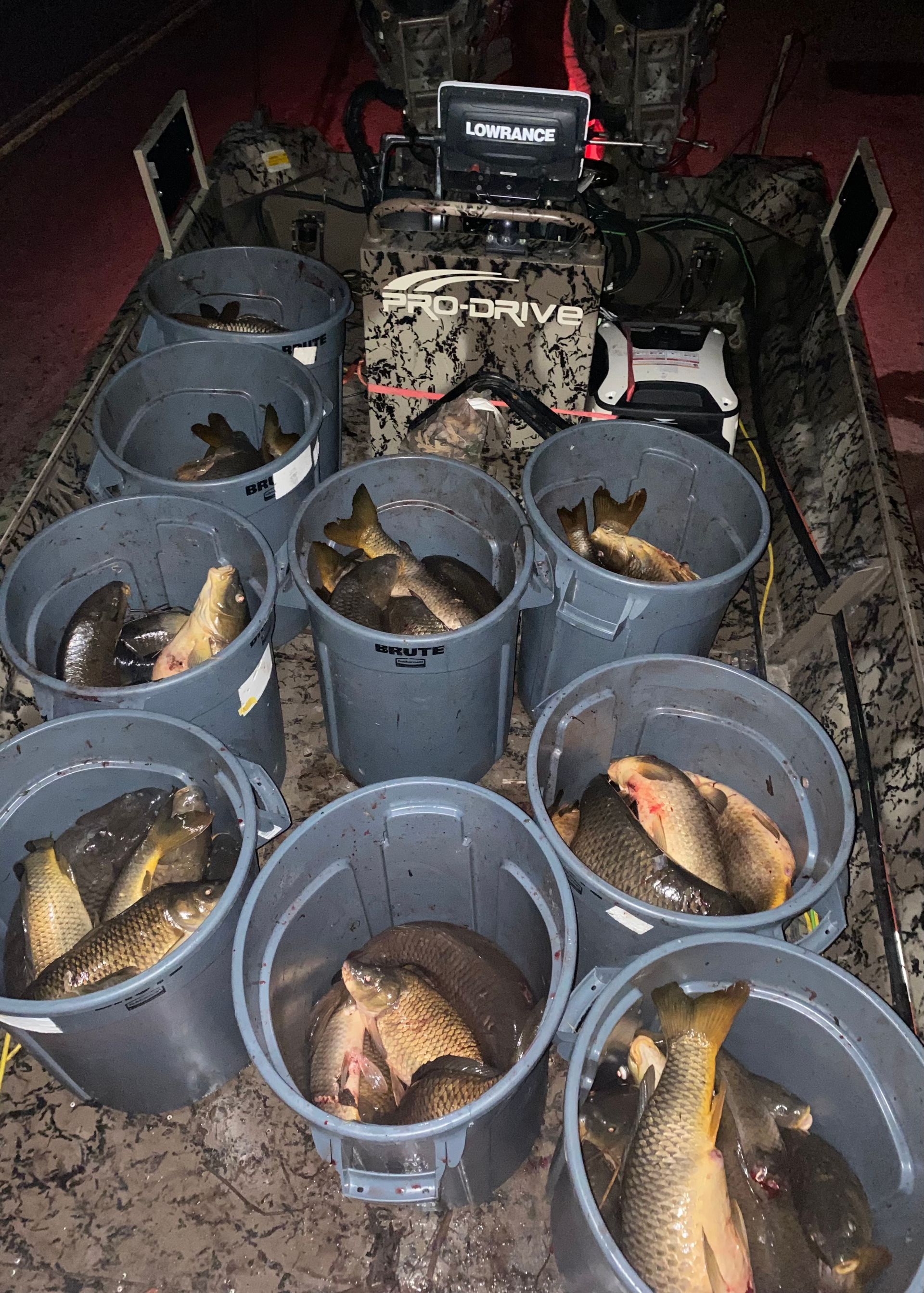 bow fishing guide OH