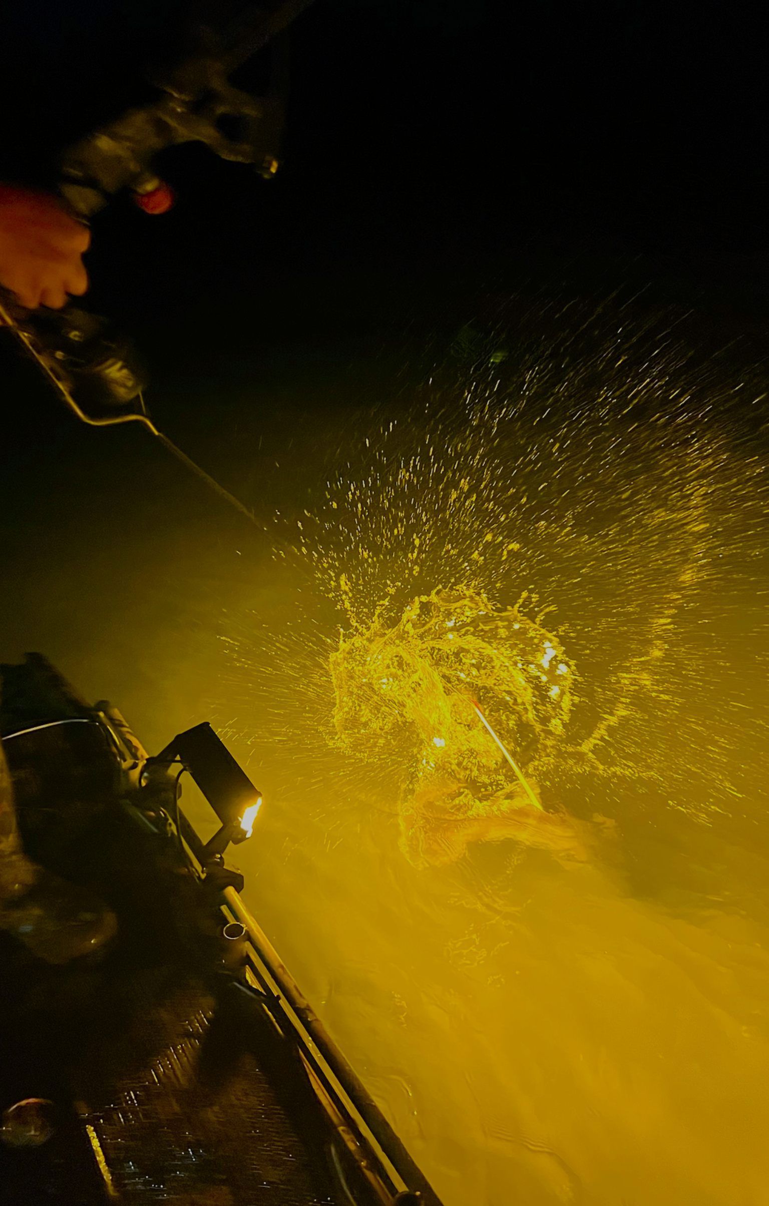 bowfishing guide on Lake Erie OH