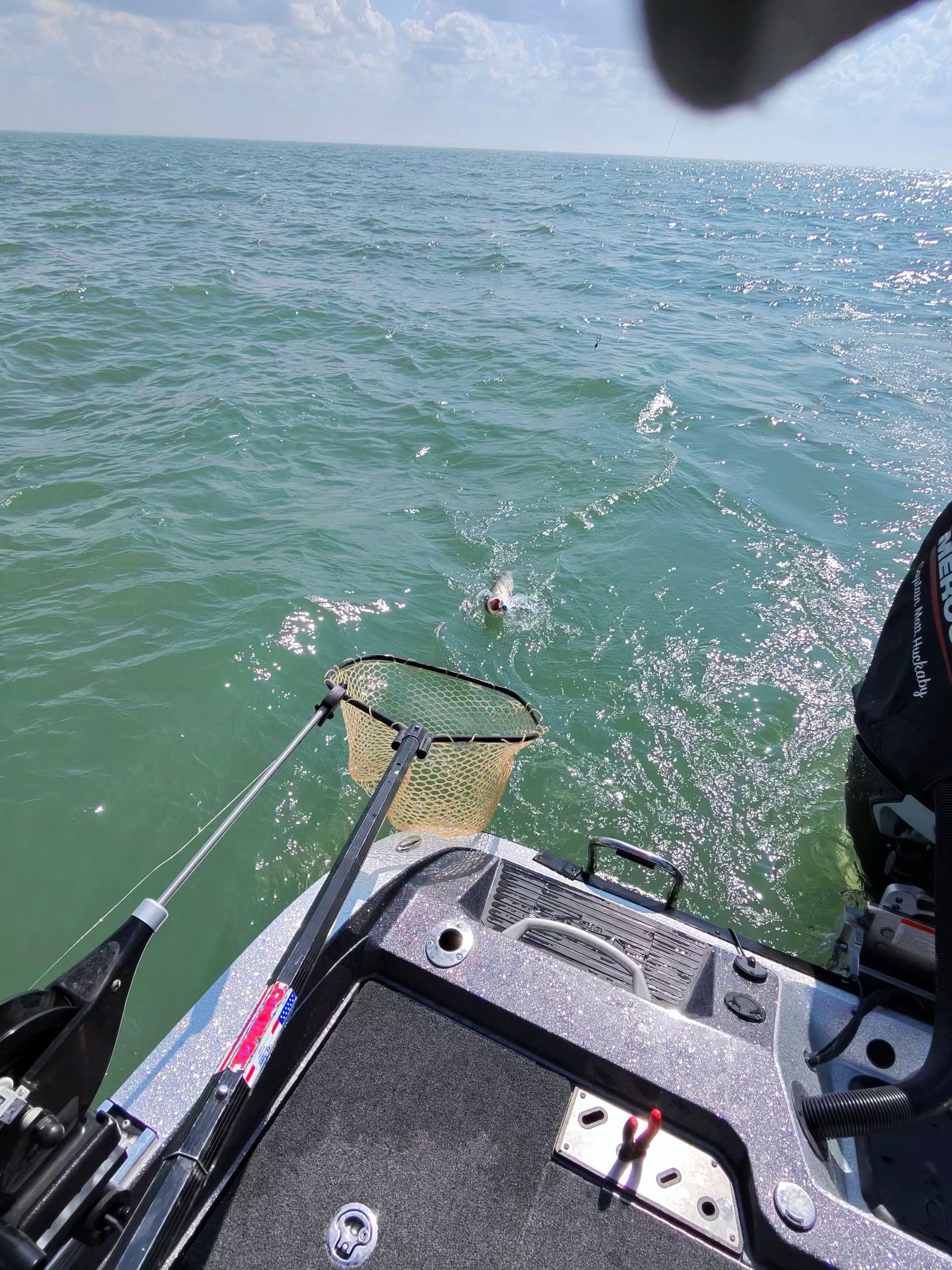 walleye fishing report on lake erie