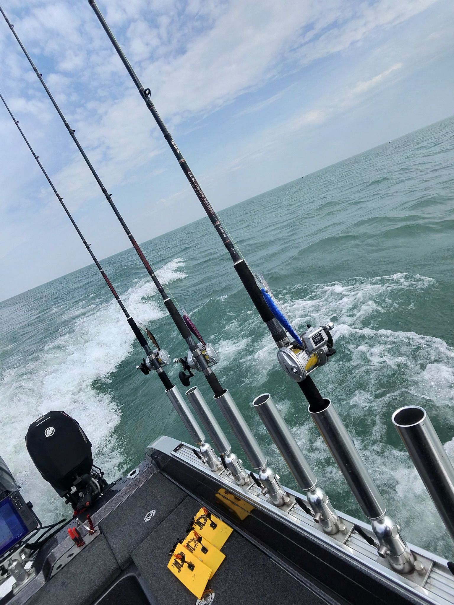 walleye rods