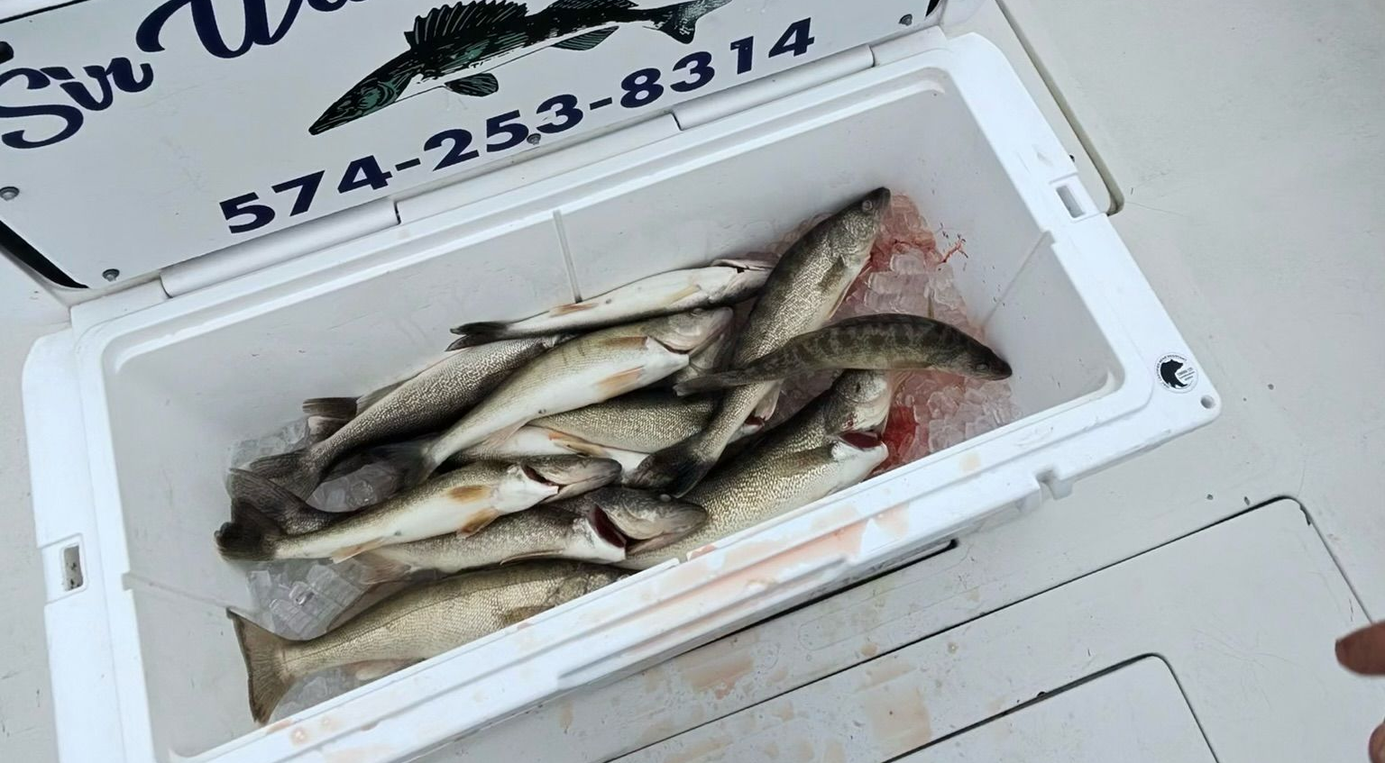 latest walleye fishing report on Lake Erie