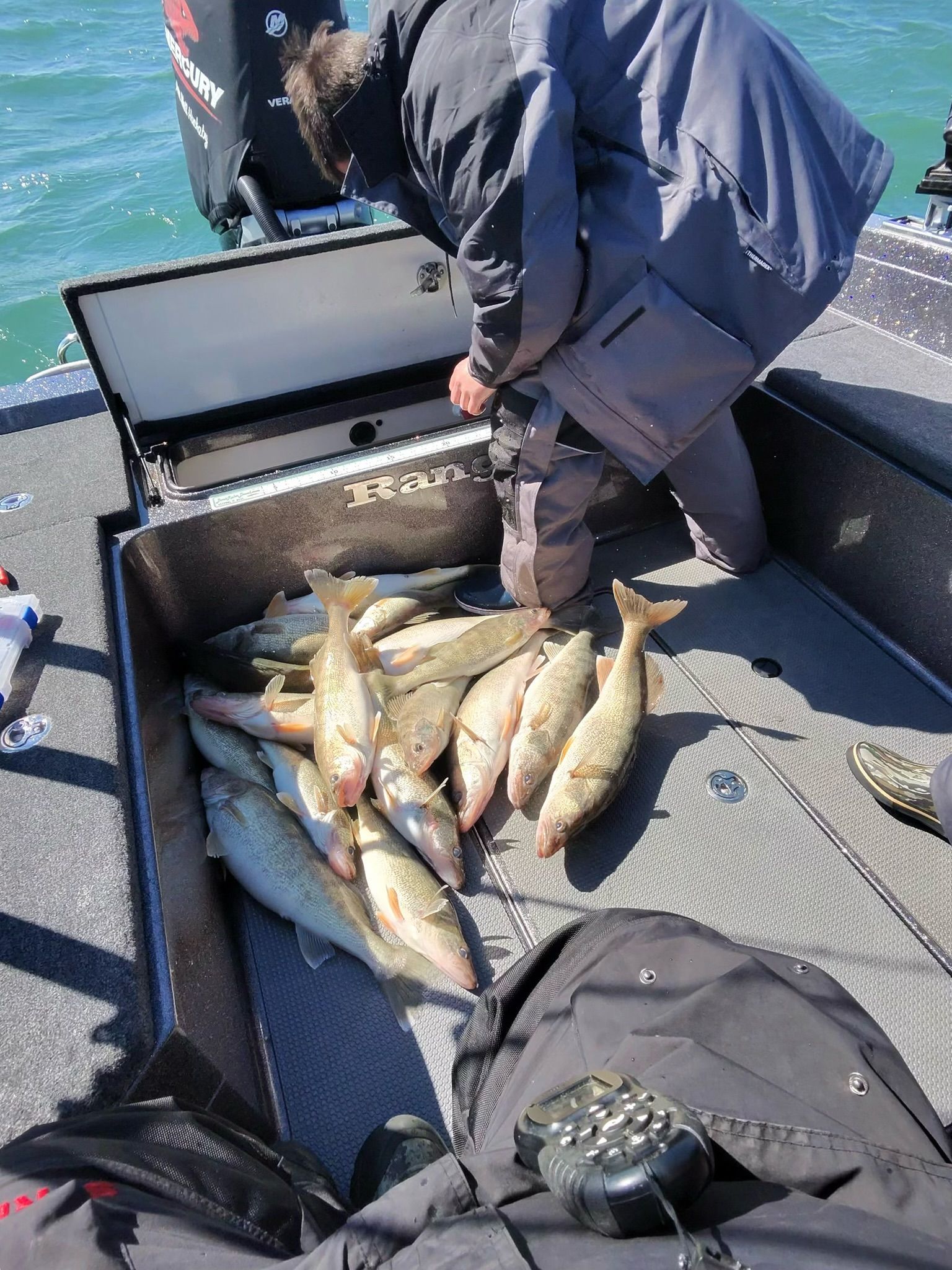walleye fishing report from Lake Erie