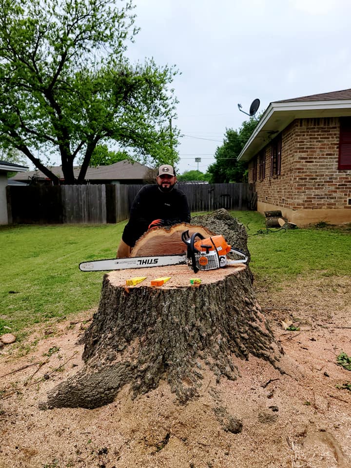 tree removal and stump grinding services in Wichita Falls, TX