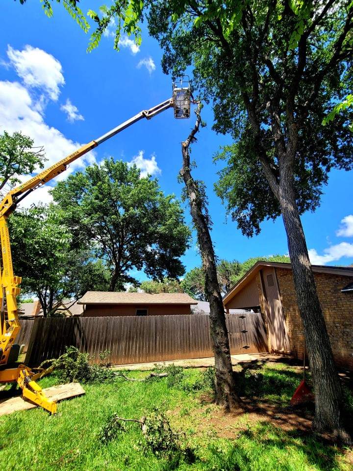storm cleanup services in Wichita Falls, TX