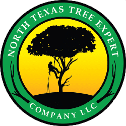North Texas Tree Expert Company