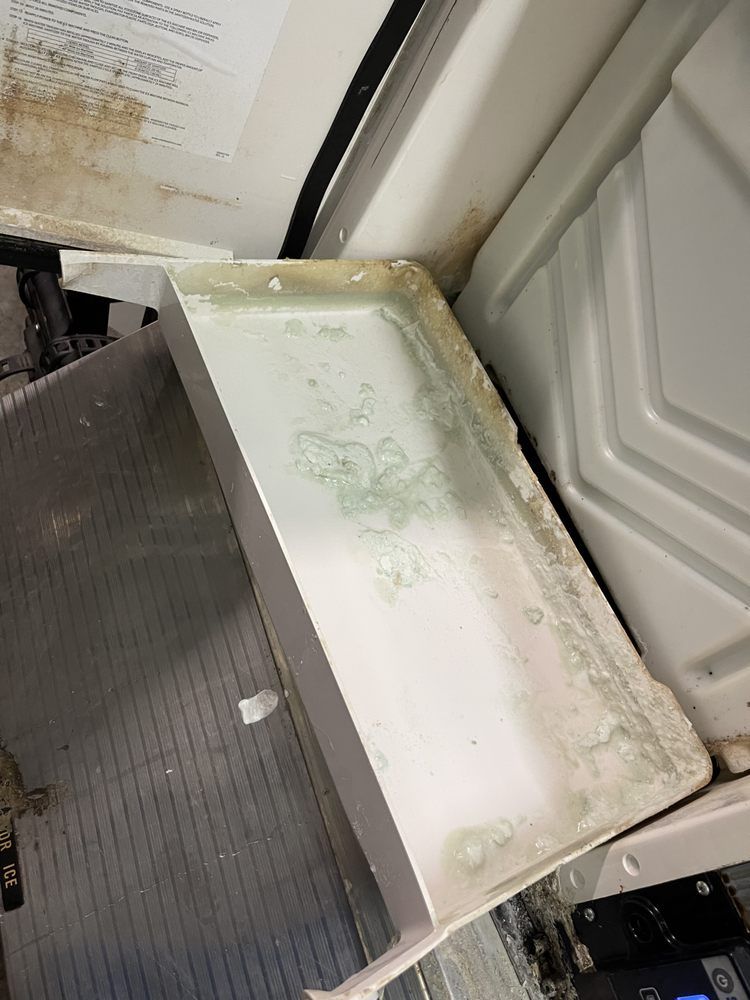 A close-up of a white plastic tray inside a machine, covered in green and white mold.