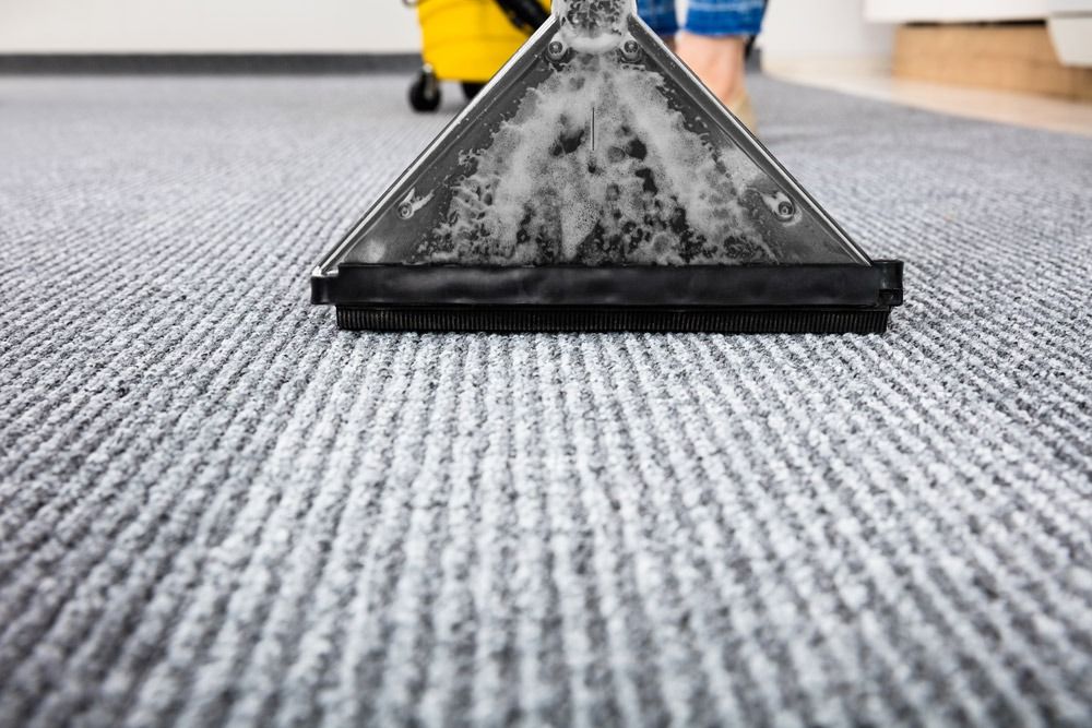Une personne nettoie un tapis avec un aspirateur.