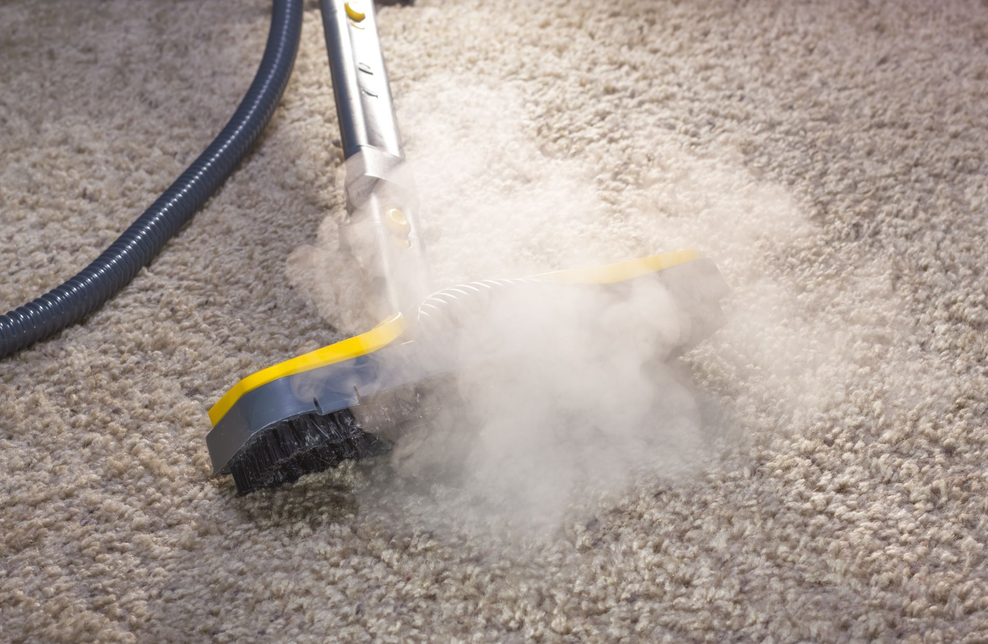 Un aspirateur nettoie un tapis avec de la vapeur qui en sort.