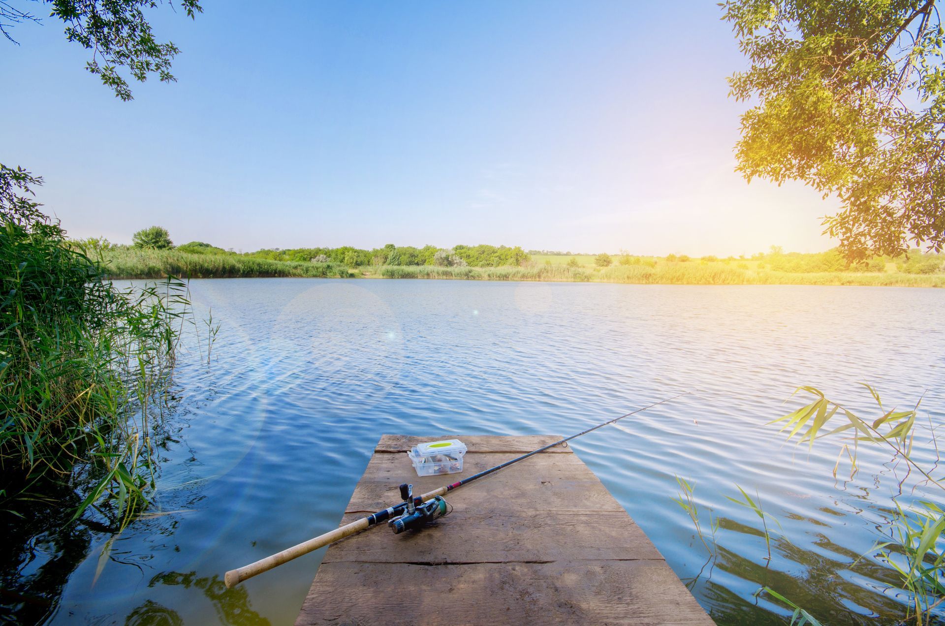 Best Fishing Lakes in Texas: A Novice Angler’s Handbook