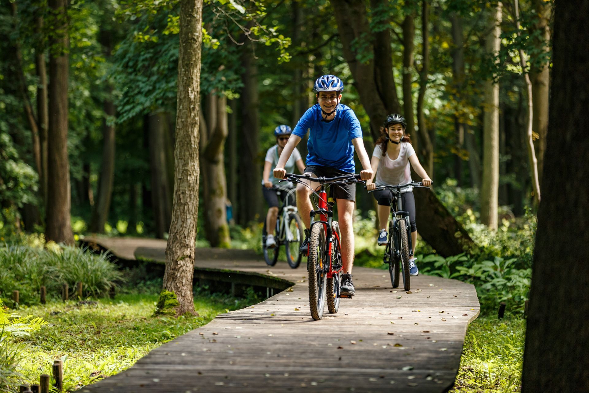 A group of people are riding bicycles down a wooden path in the woods.