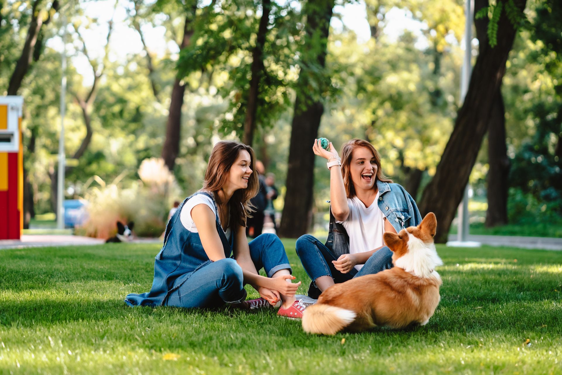 Two women are sitting on the grass with a dog in a park.