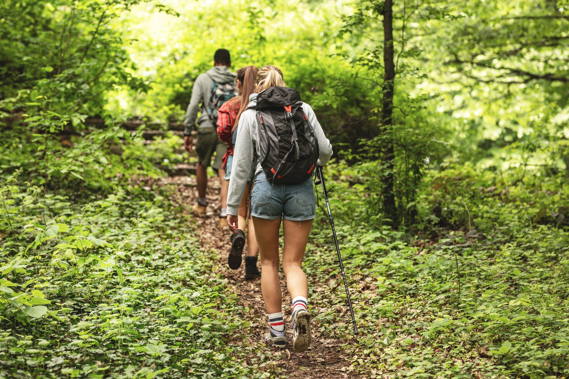 A group of people are hiking through a forest.