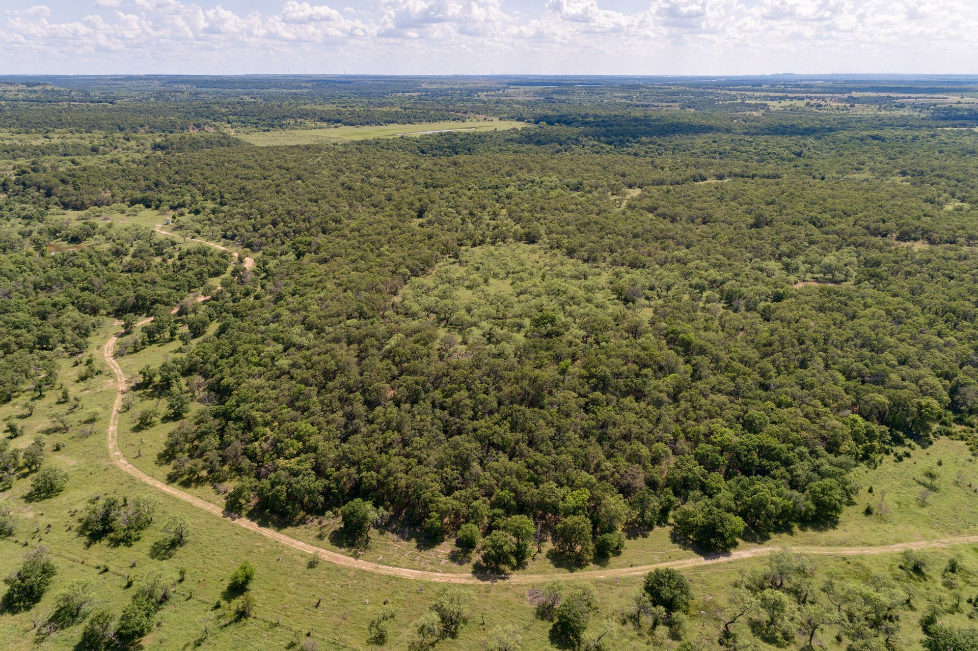 An aerial view of a lush green forest with a dirt road going through it.