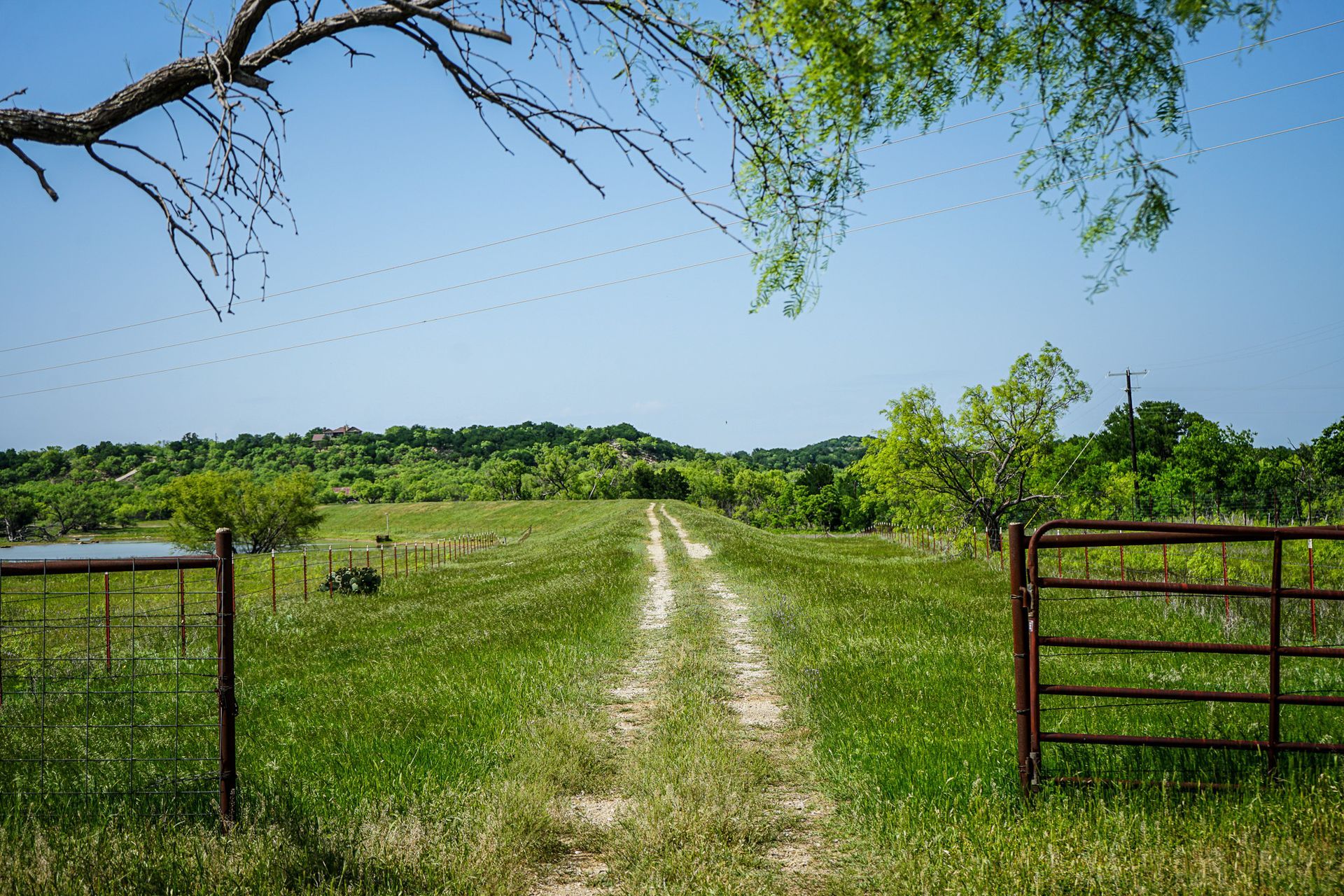 path through grassy field