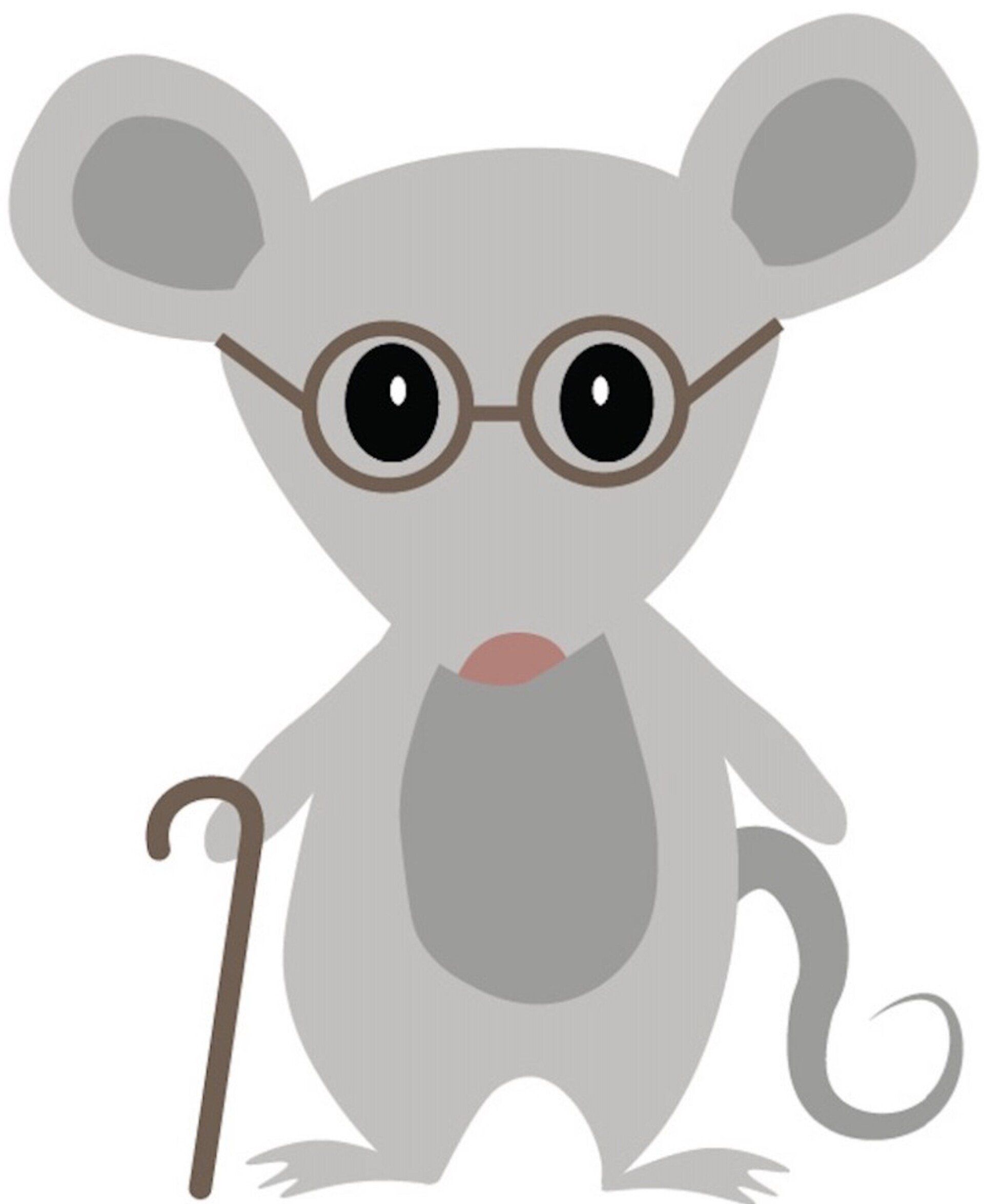 Project 3: Stress-Induced Aging and Disease