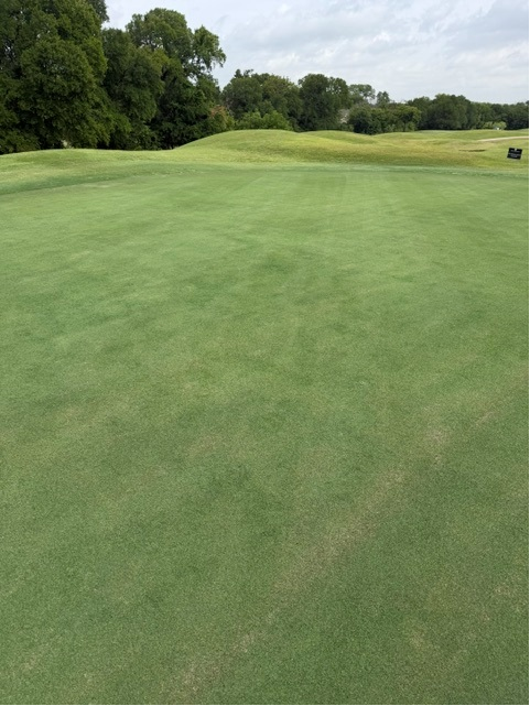 2026 Greens Project | Ridgeview Ranch Golf | Plano, TX