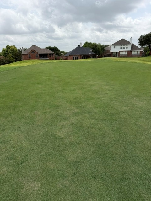 2026 Greens Project | Ridgeview Ranch Golf | Plano, TX