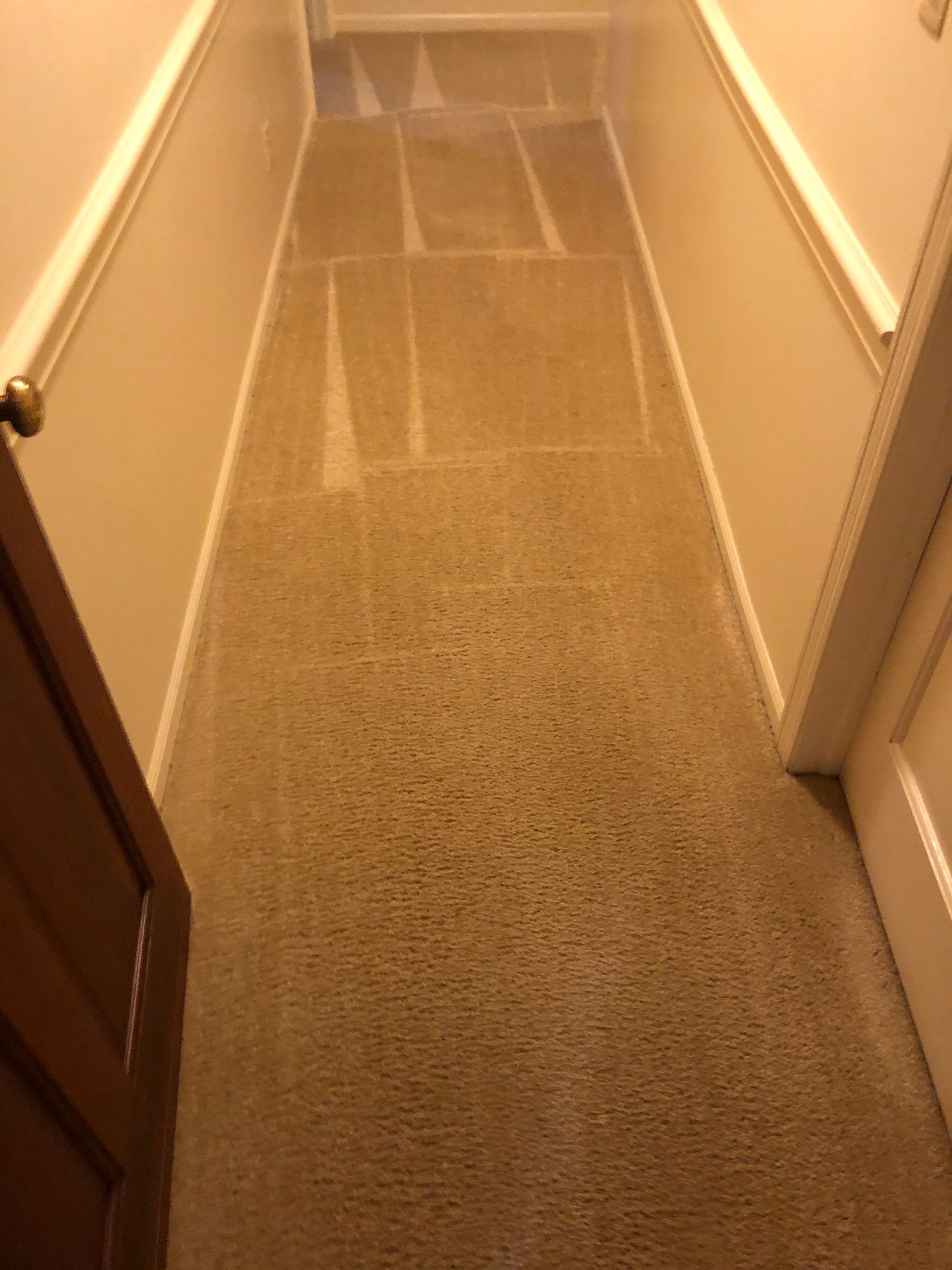 Staircase with tan carpet, flanked by beige walls, a doorway on the left and a white door on the right.
