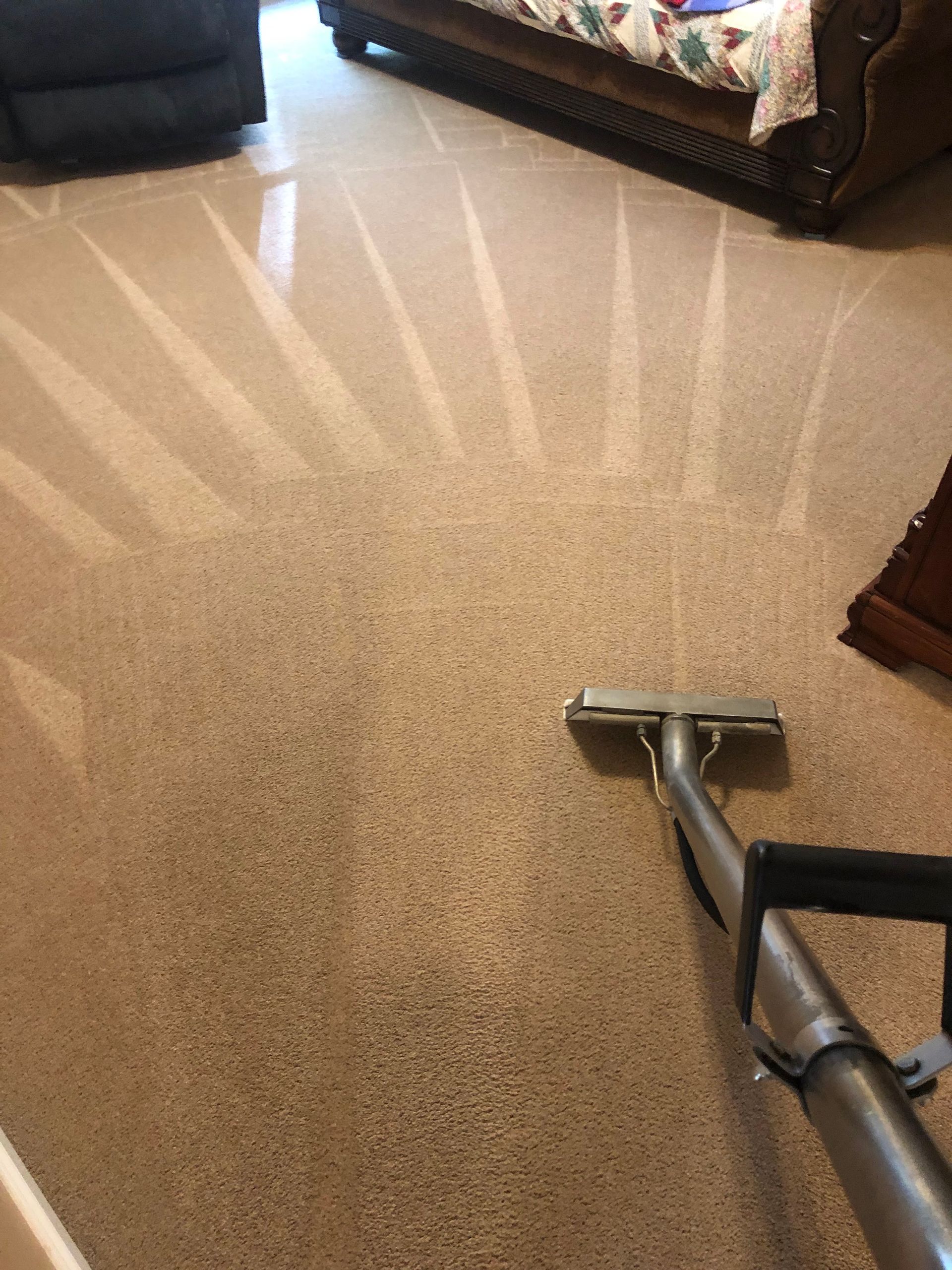 Carpet being cleaned with a professional cleaning machine, showing clean streaks on a beige carpet in a room with furniture.