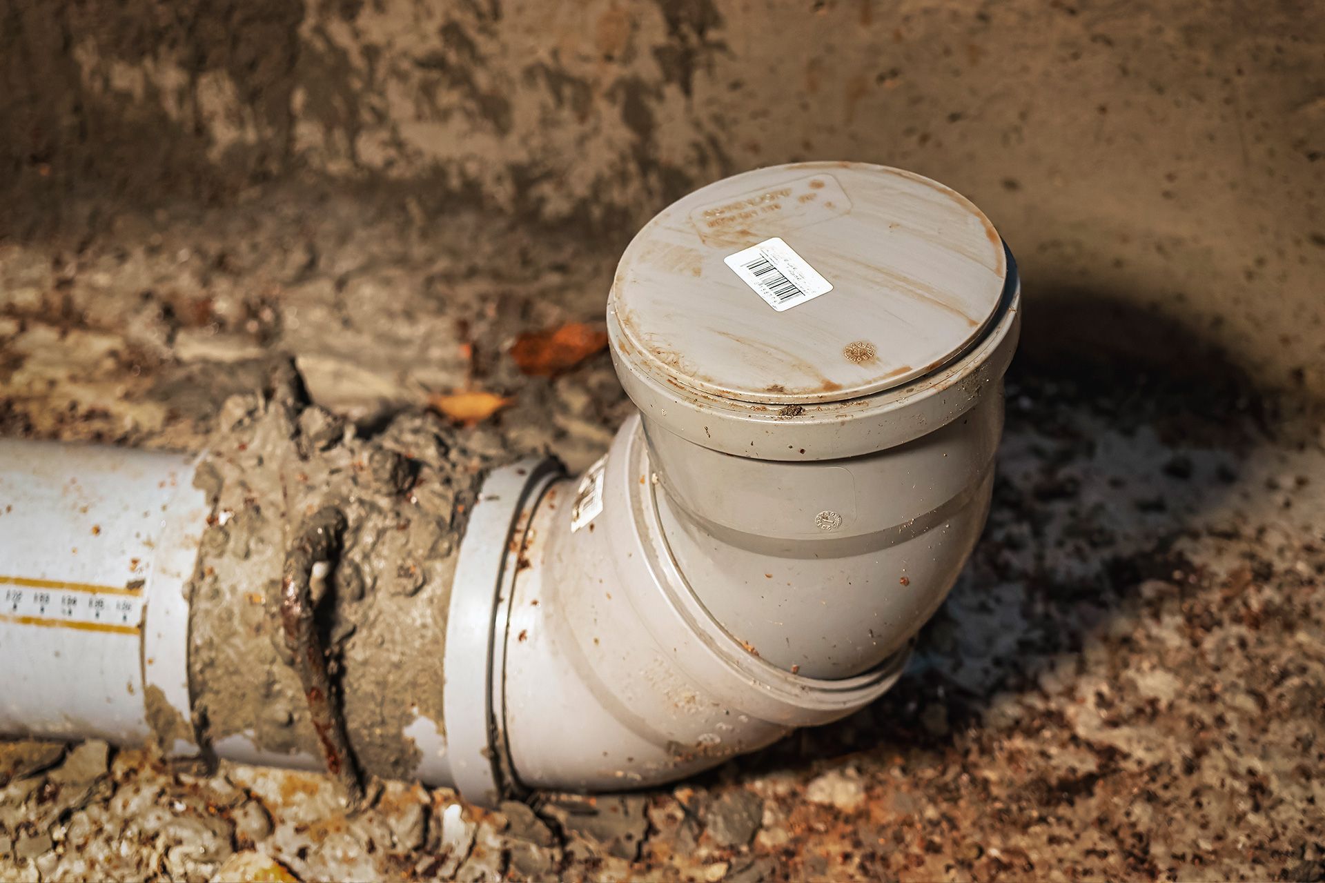 Damaged sewer pipe with root intrusion